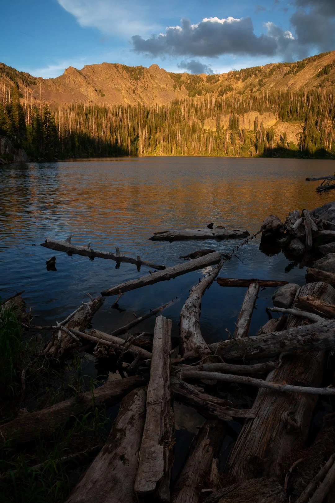0K0A4492-Edit.IG.jpg