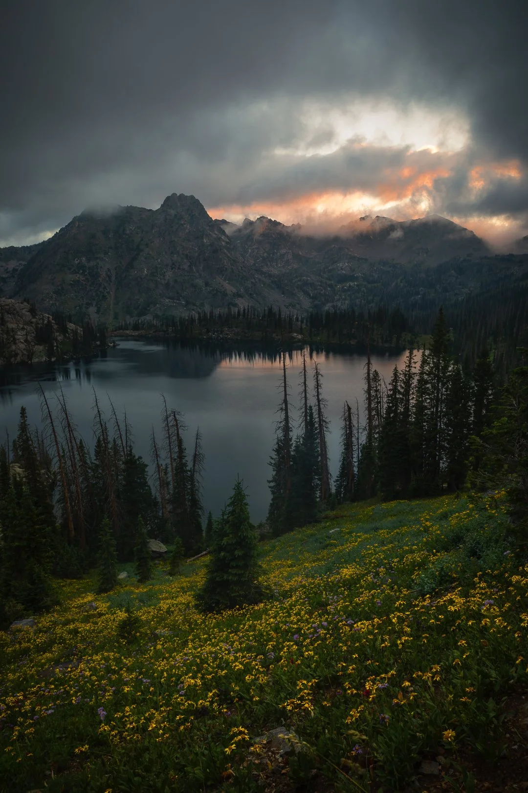 0K0A4546-Edit.IG.jpg