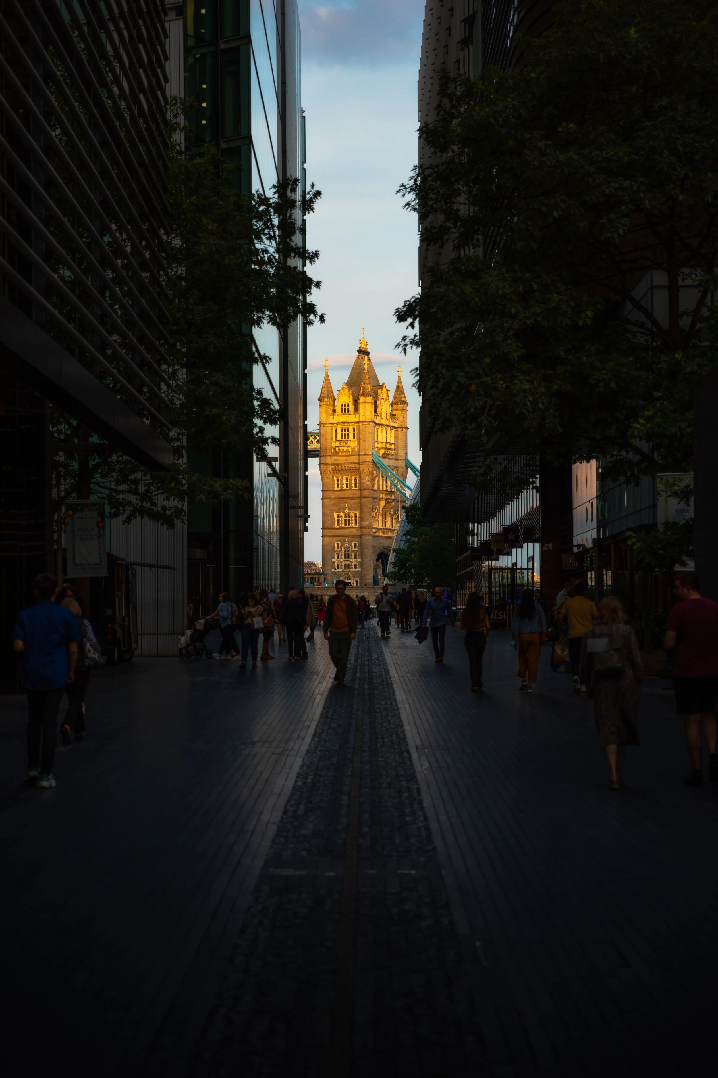0K0A8265-Edit.jpg