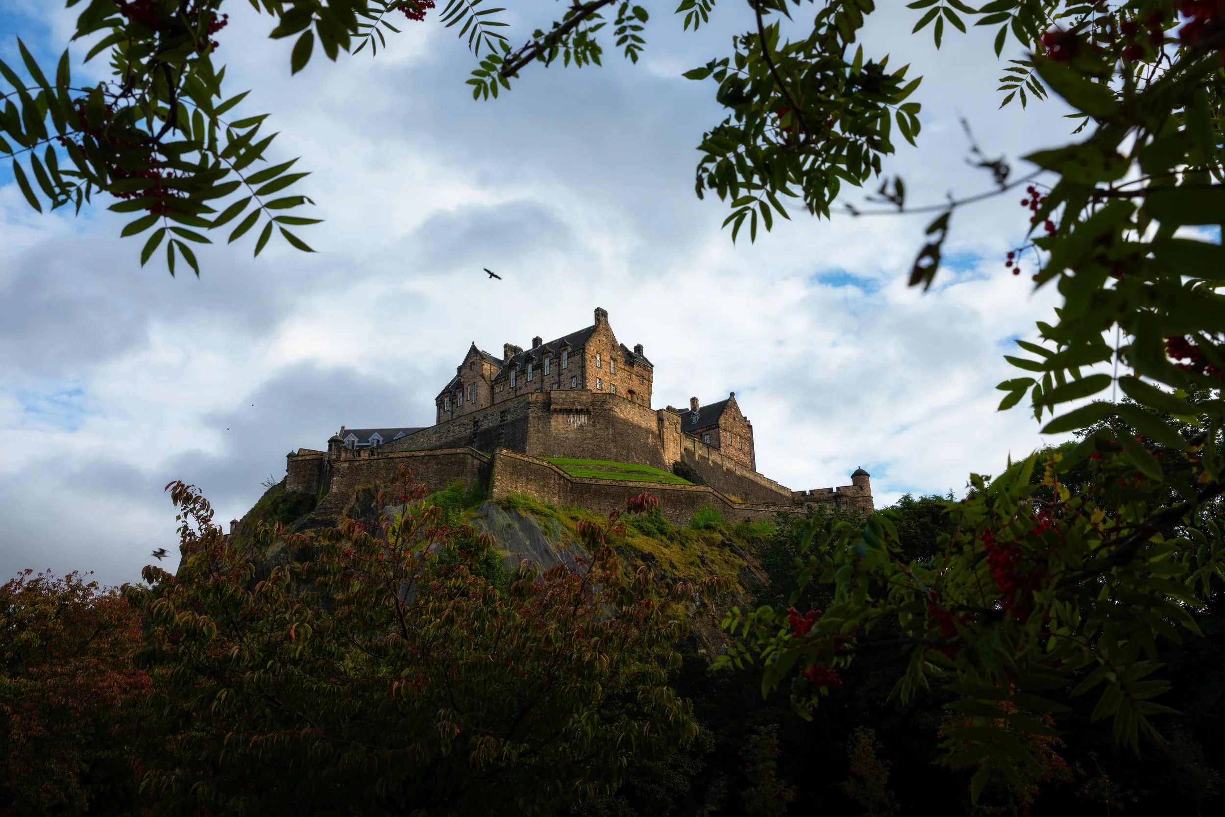 0K0A9266-Edit-2.jpg