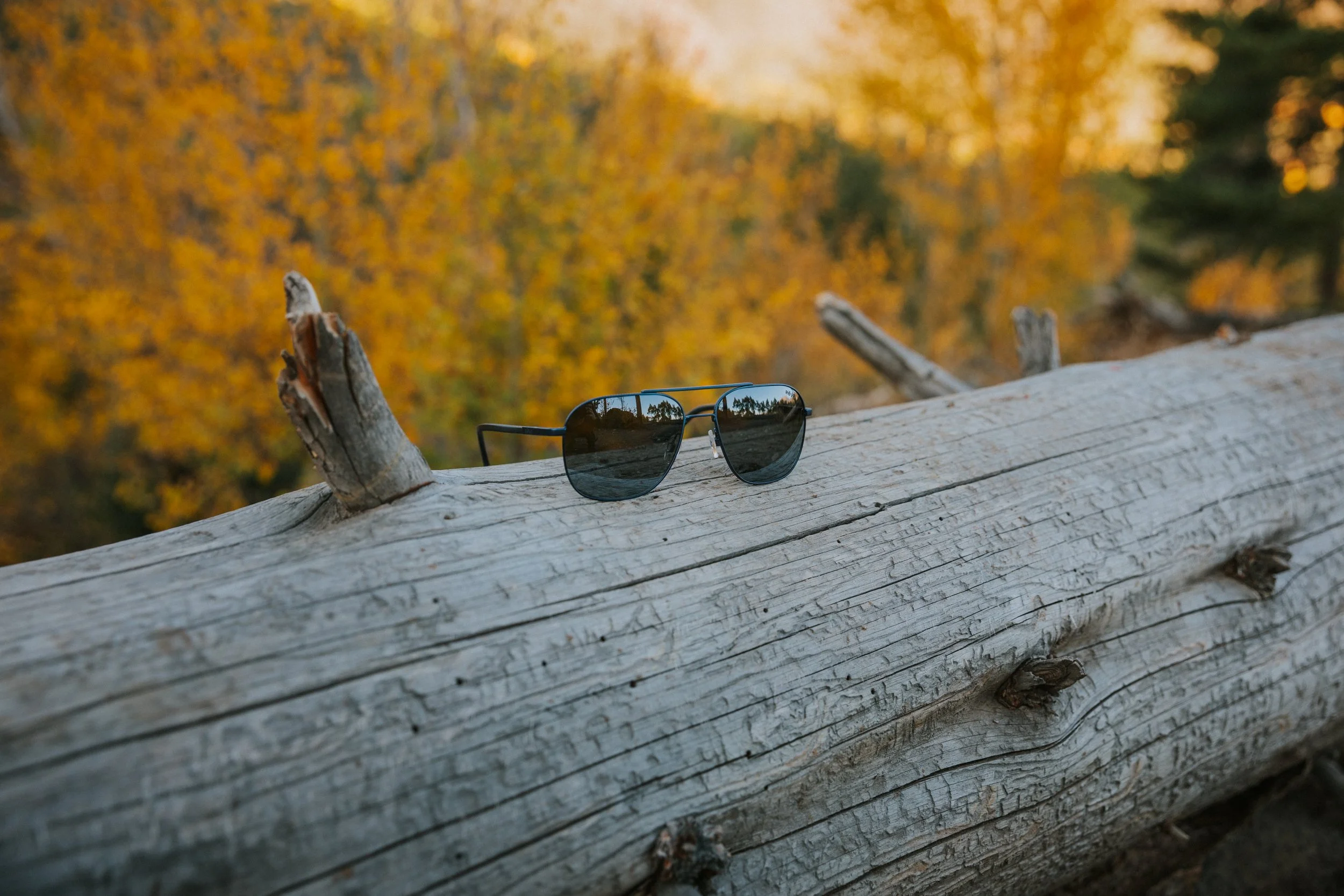 0K0A0572.jpg