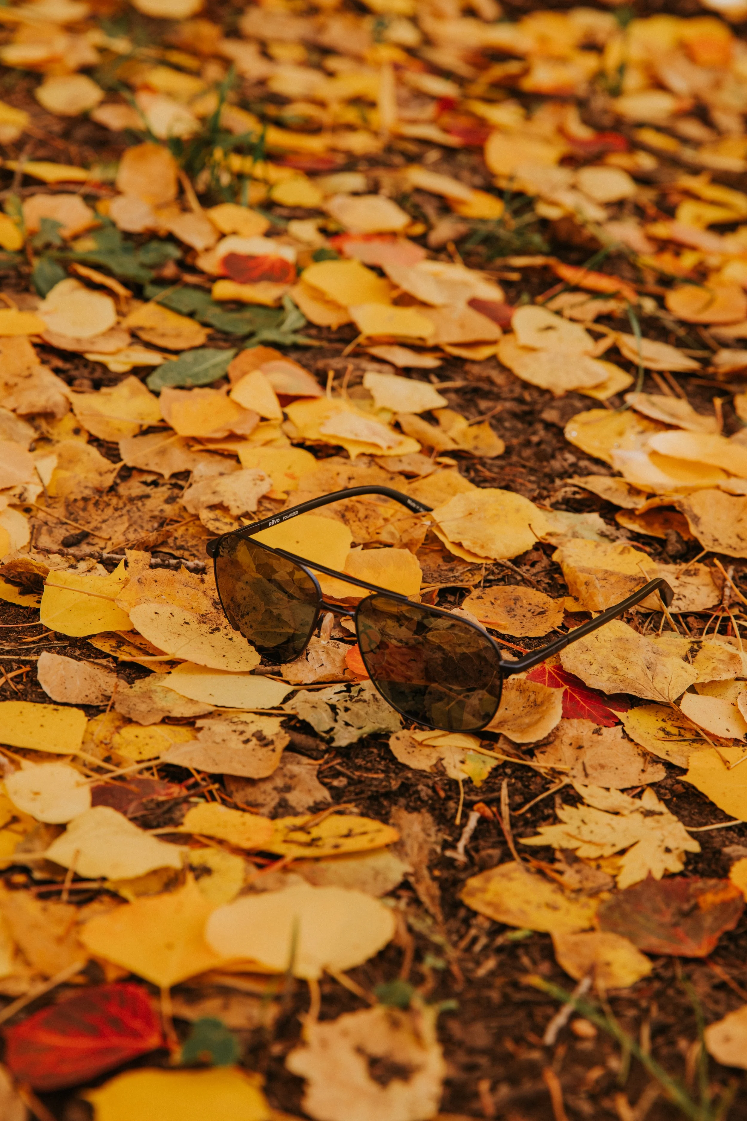 0K0A2766-HDR.jpg