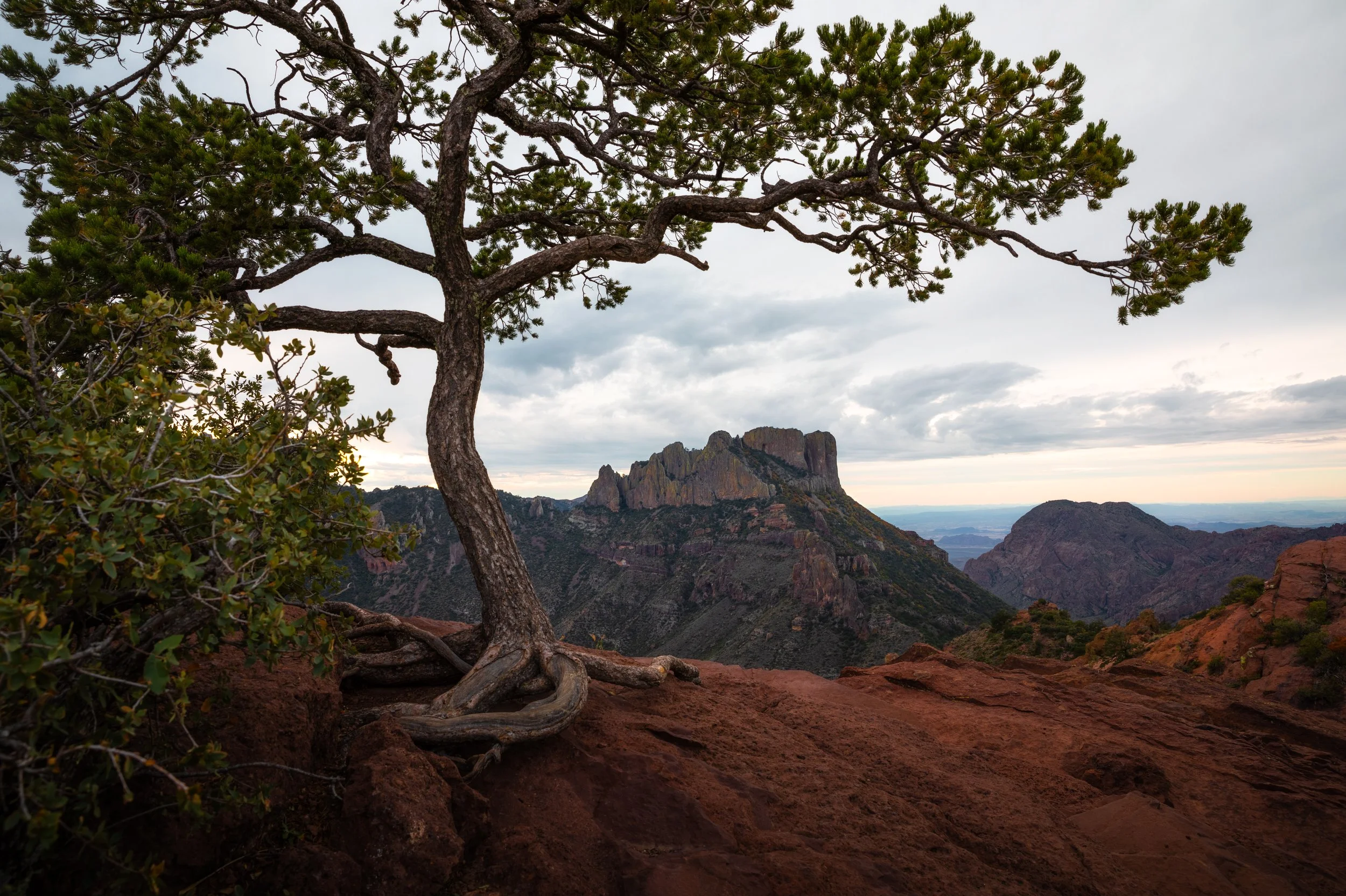 0K0A7208-HDR-Edit.jpg