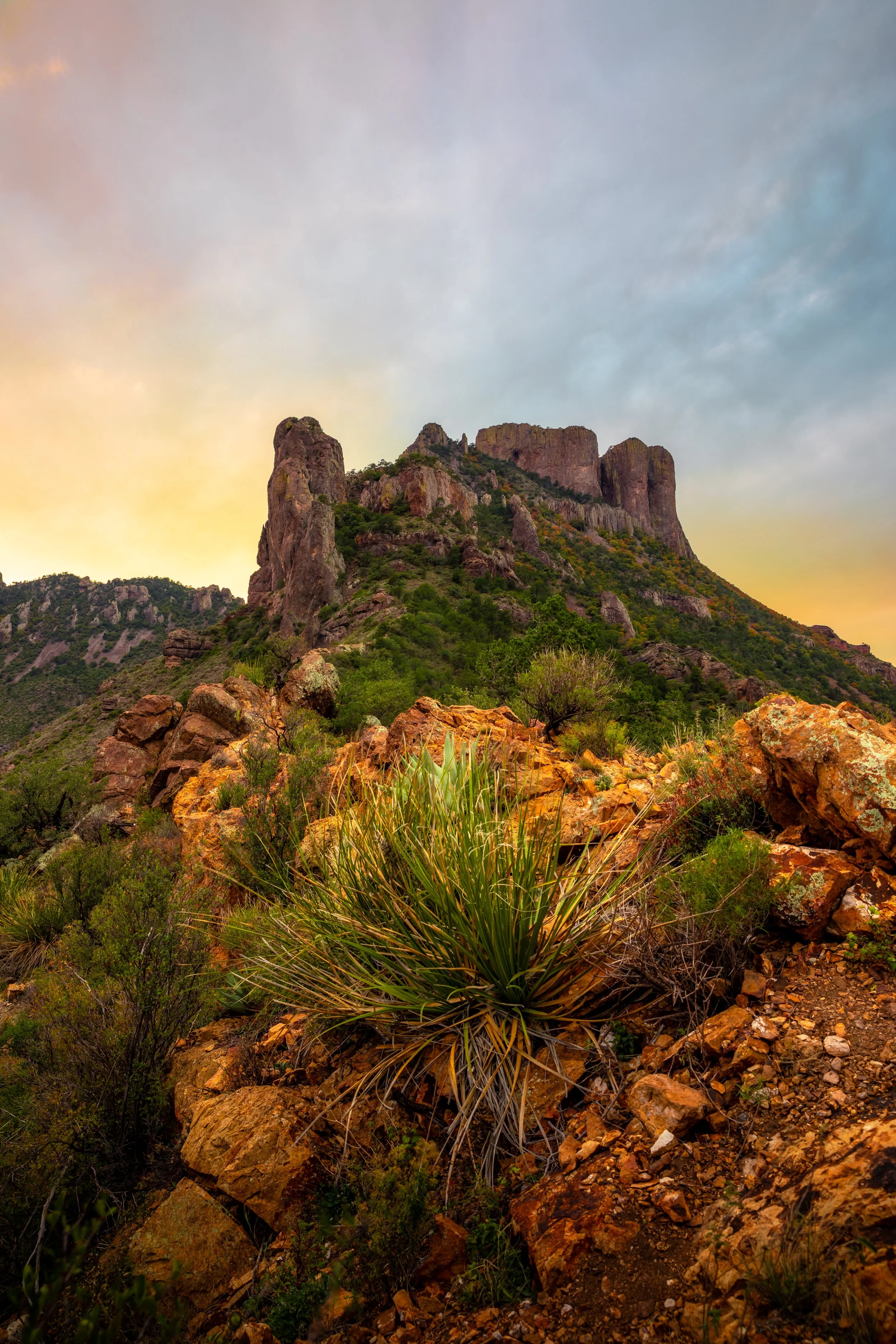 0K0A7253-HDR-Edit.jpg