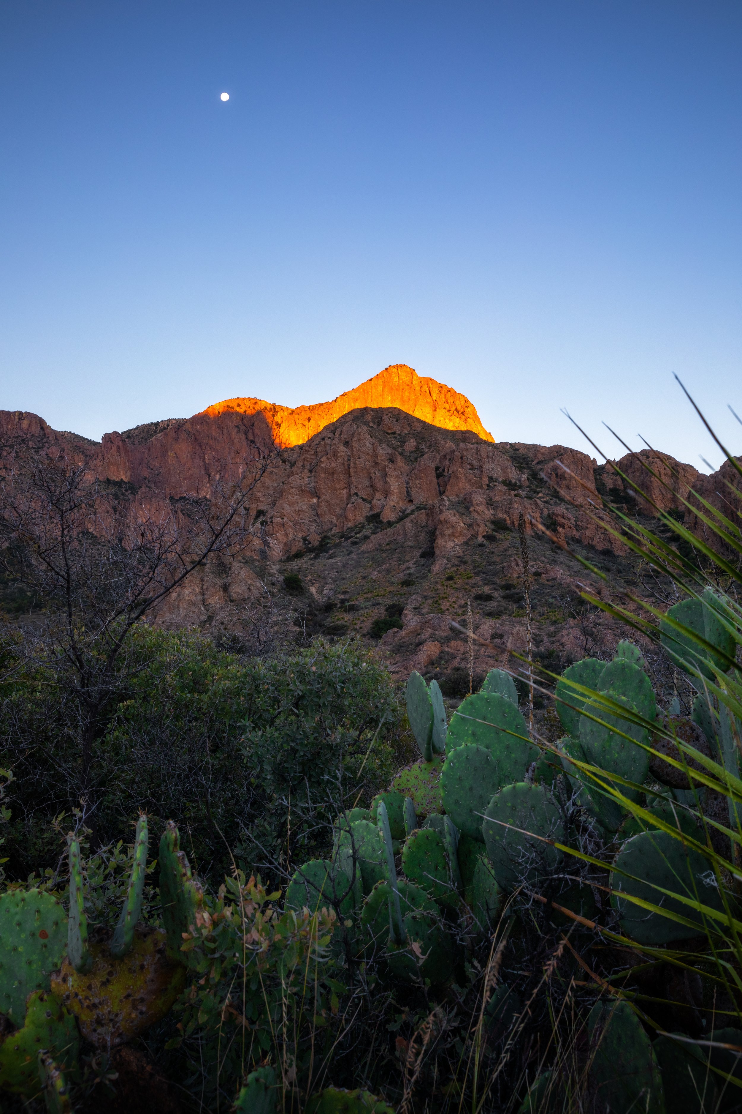 0K0A7341-HDR-Edit.jpg