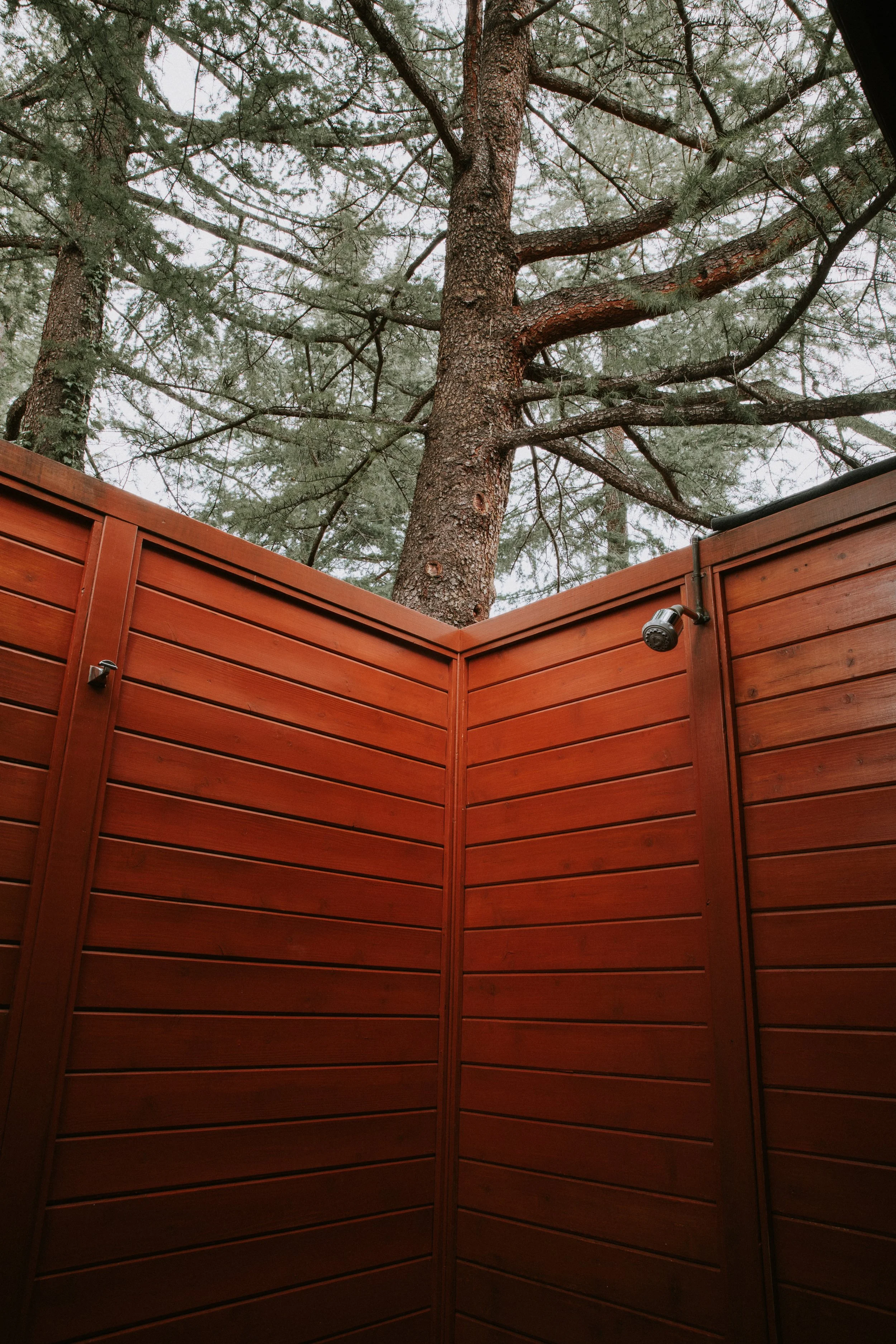 0K0A9959-HDR.jpg