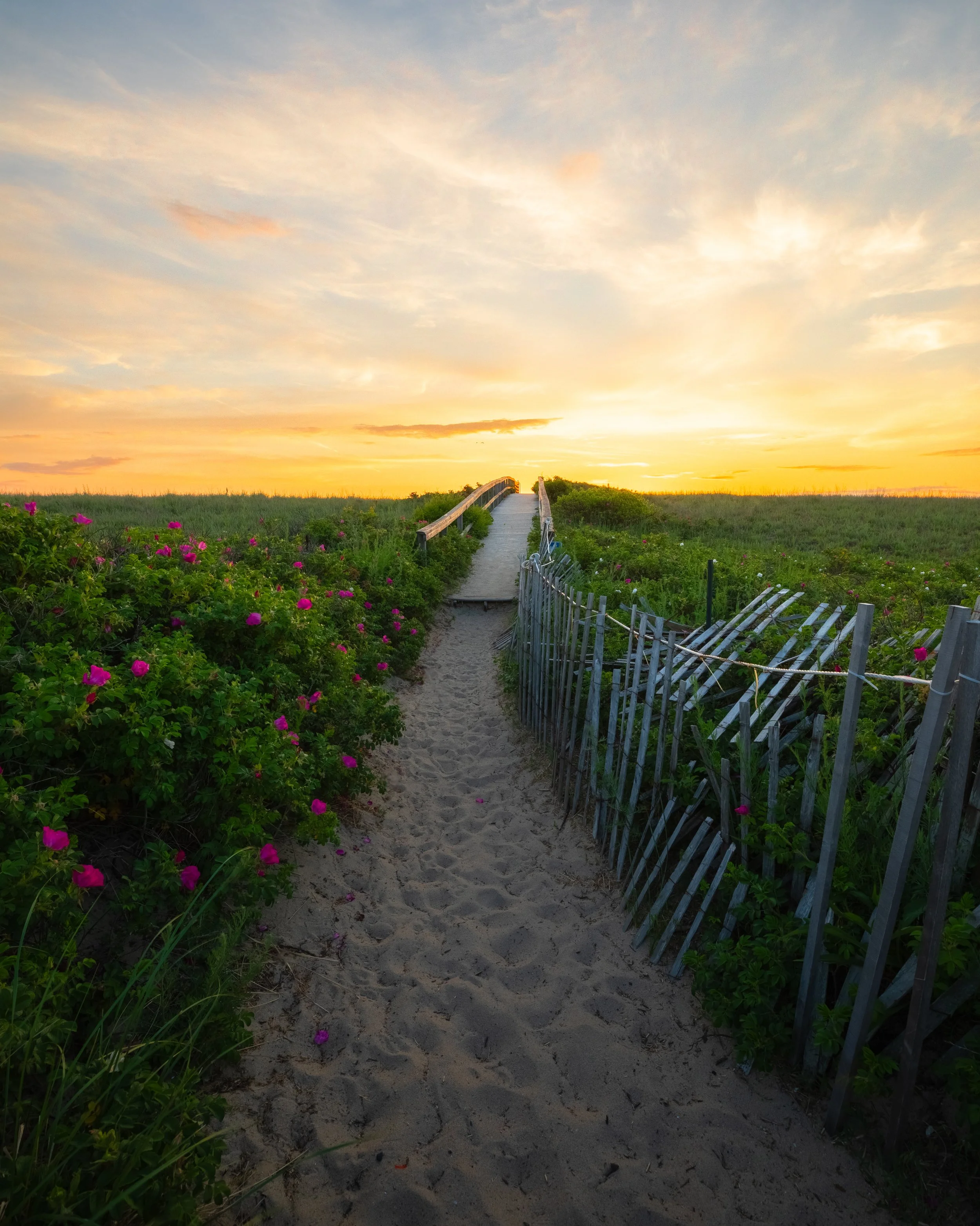 0K0A5172-HDR-Edit.jpg