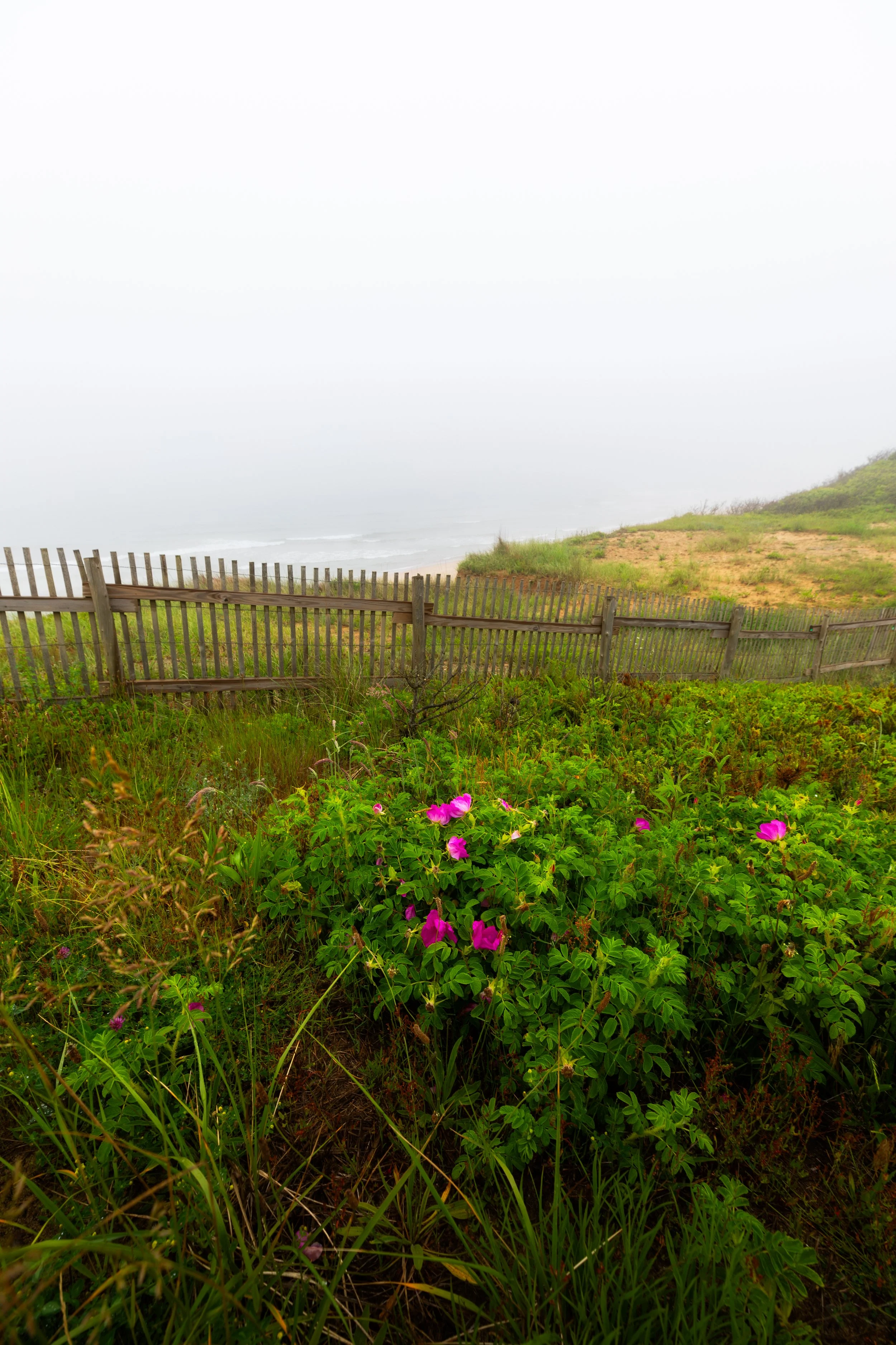 0K0A5415-Edit.jpg