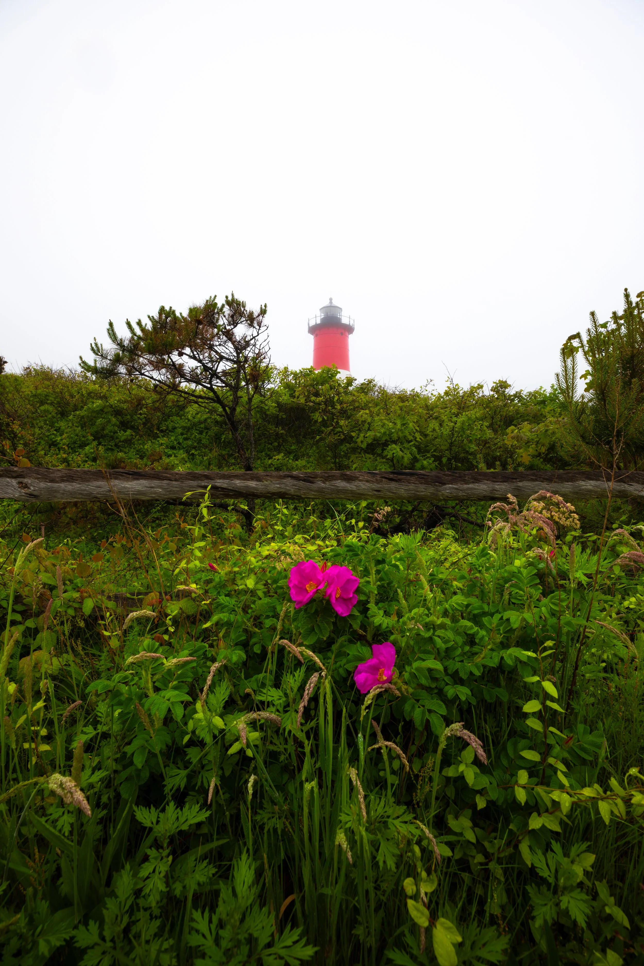 0K0A5414-Edit.jpg