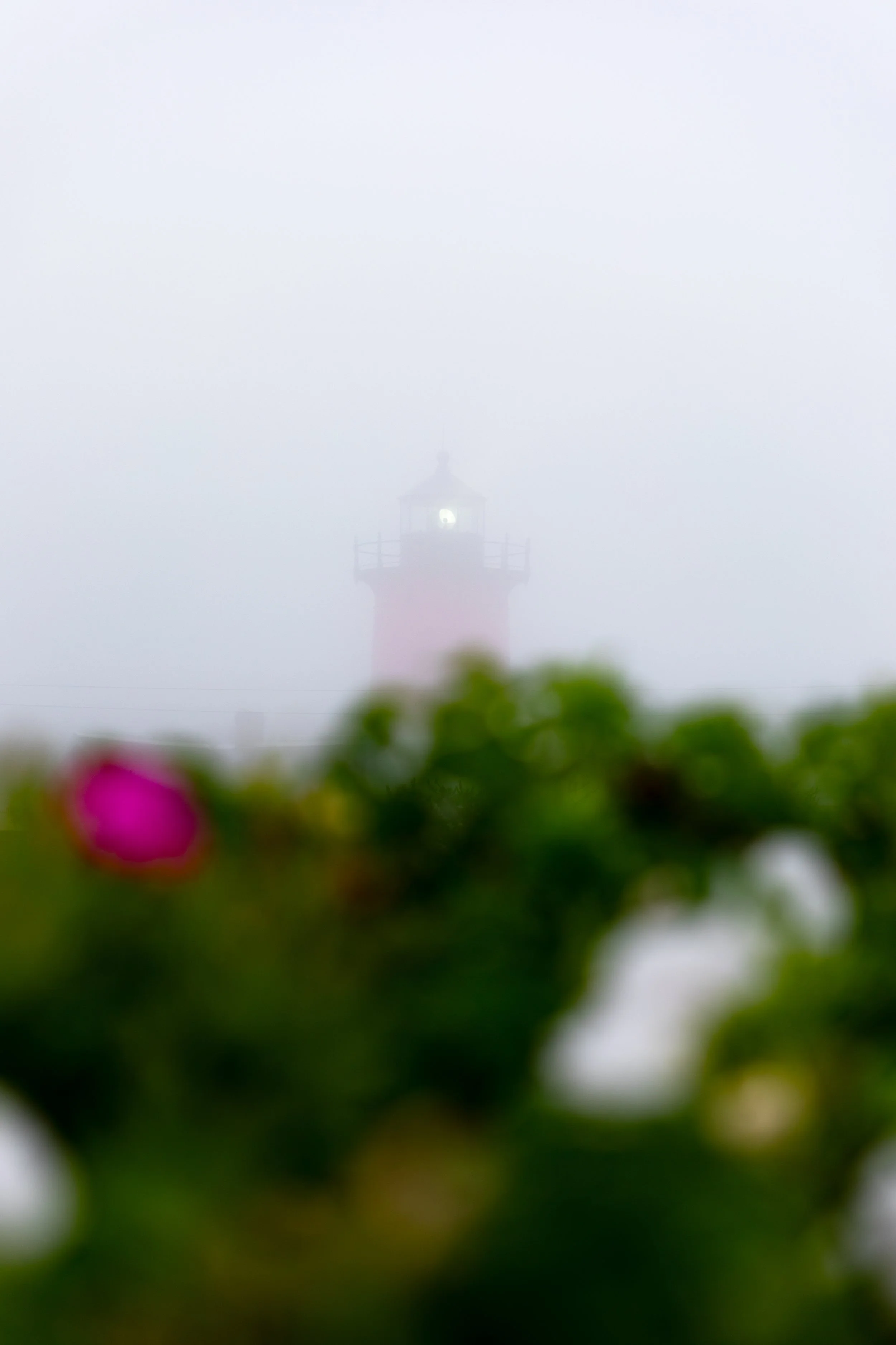 0K0A5431-Edit.jpg
