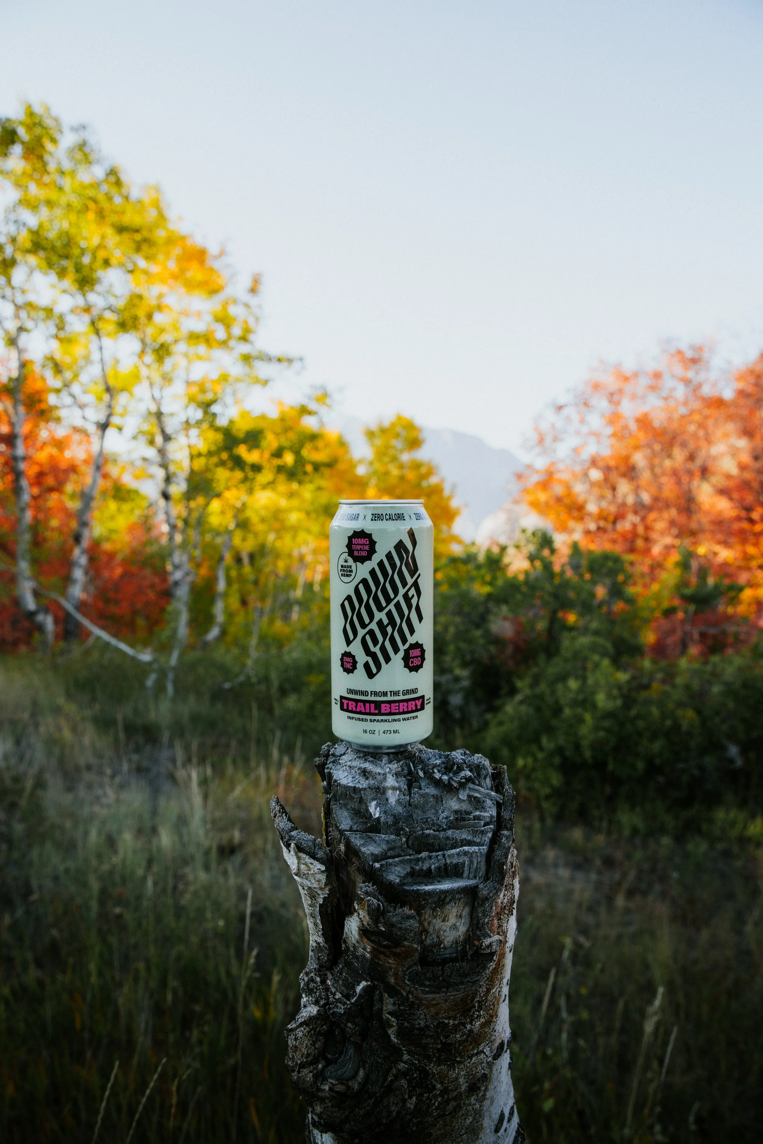 0K0A6628-Edit.jpg