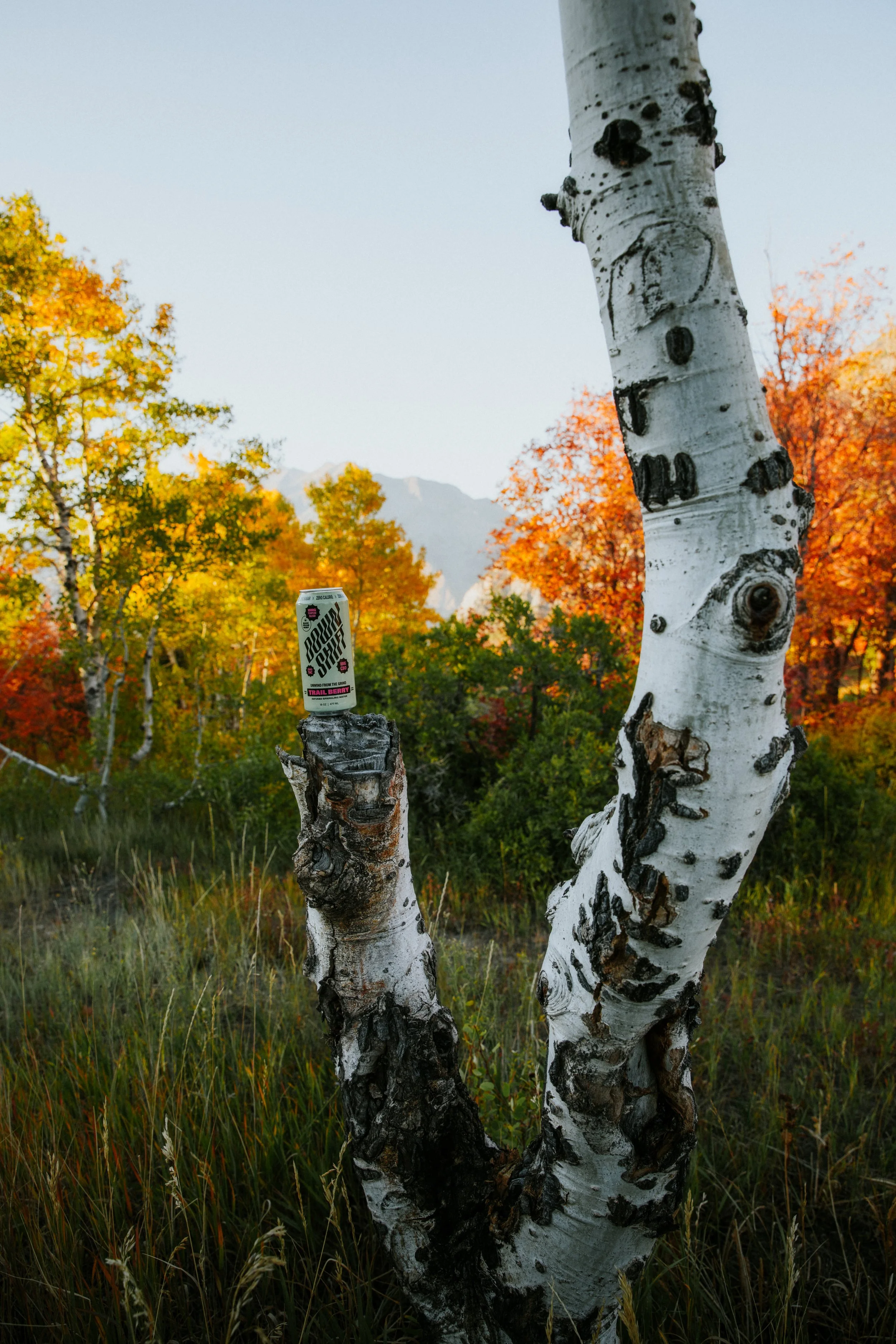 0K0A6631-Edit.jpg