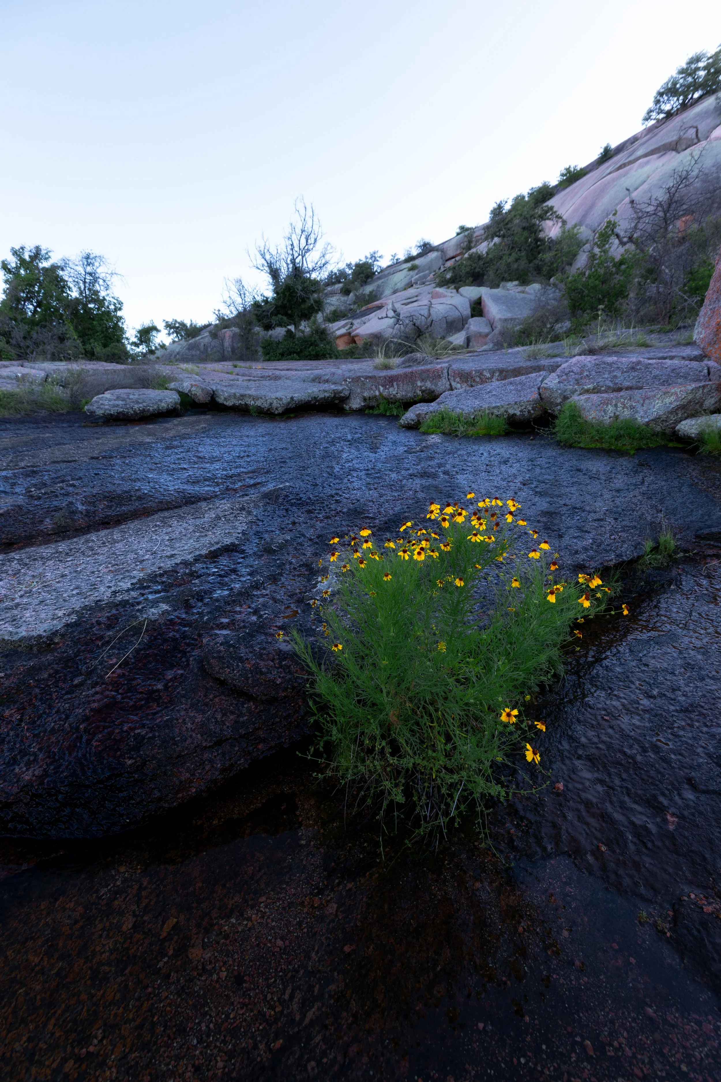 0K0A8131-Edit.jpg