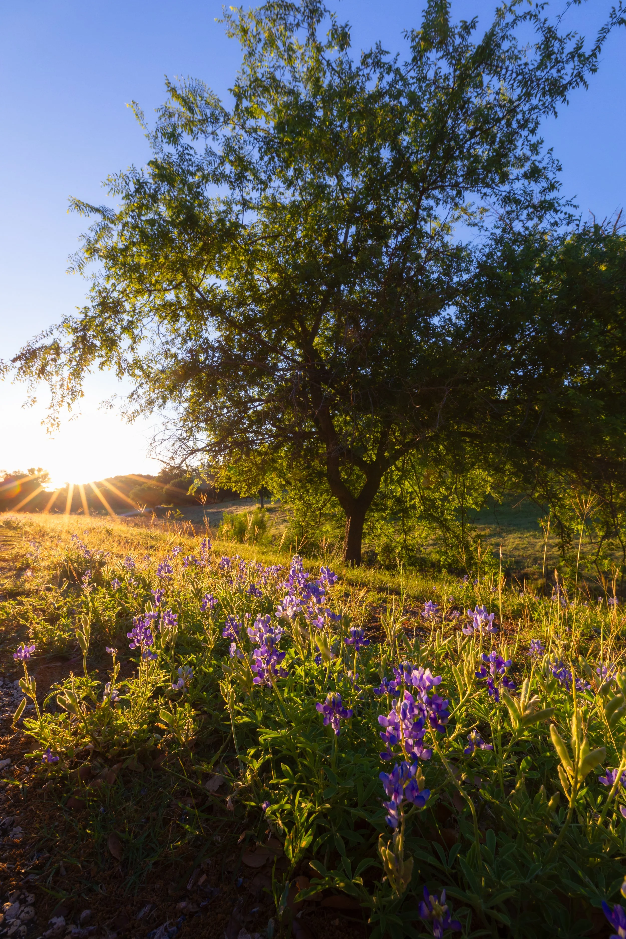 0K0A8315-Edit.jpg