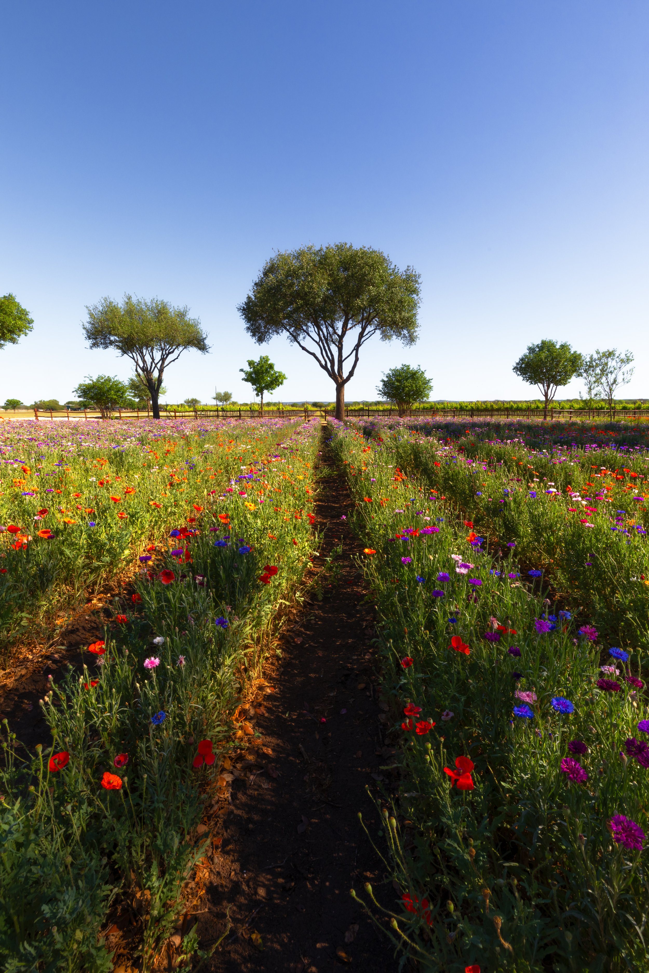 0K0A8368-HDR-Edit.jpg
