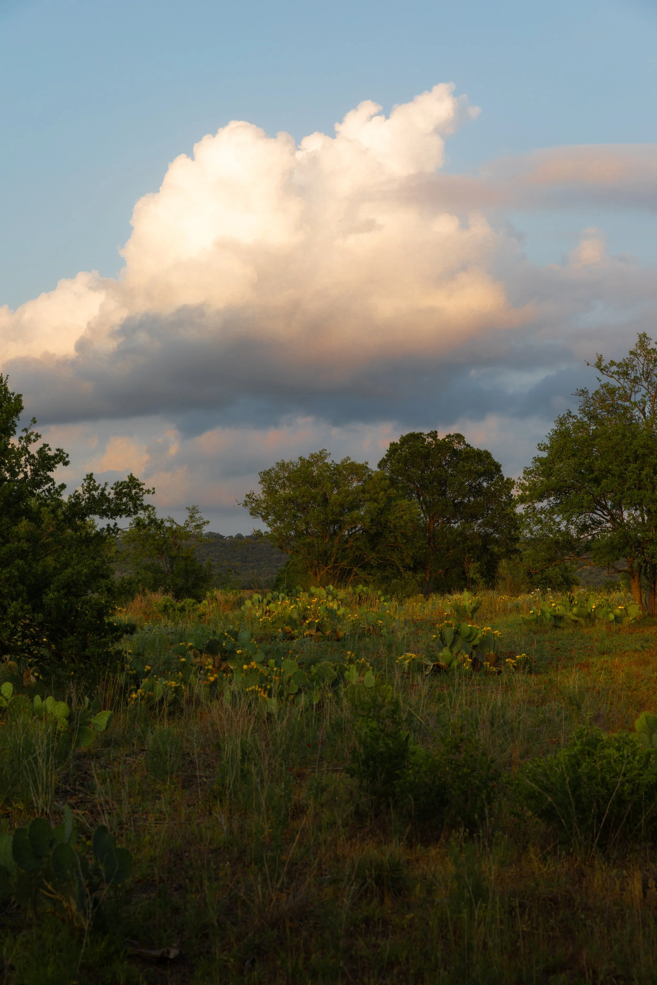 0K0A8923-Edit.jpg