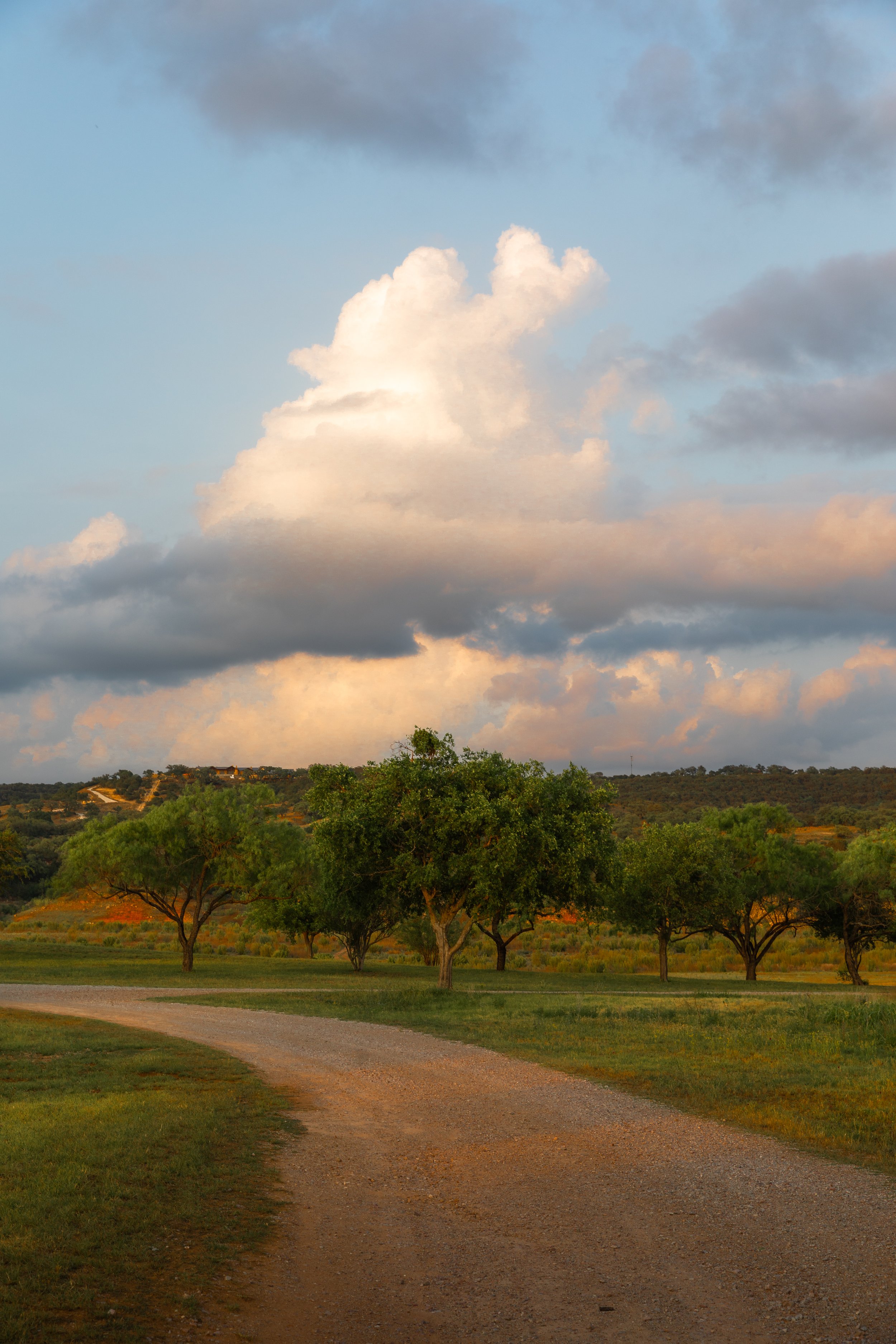 0K0A8929-Edit.jpg
