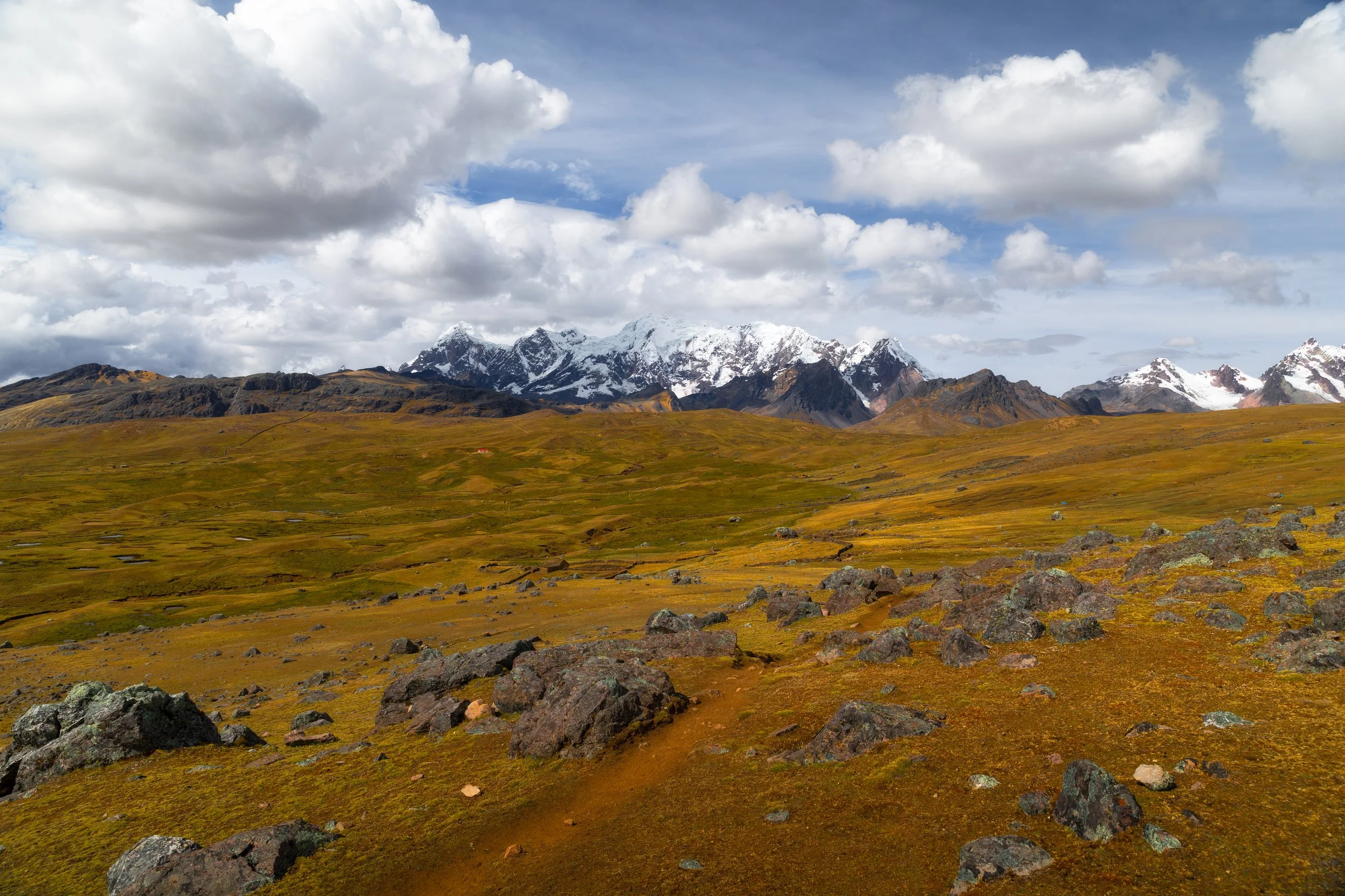 GA8A1032-Edit.jpg
