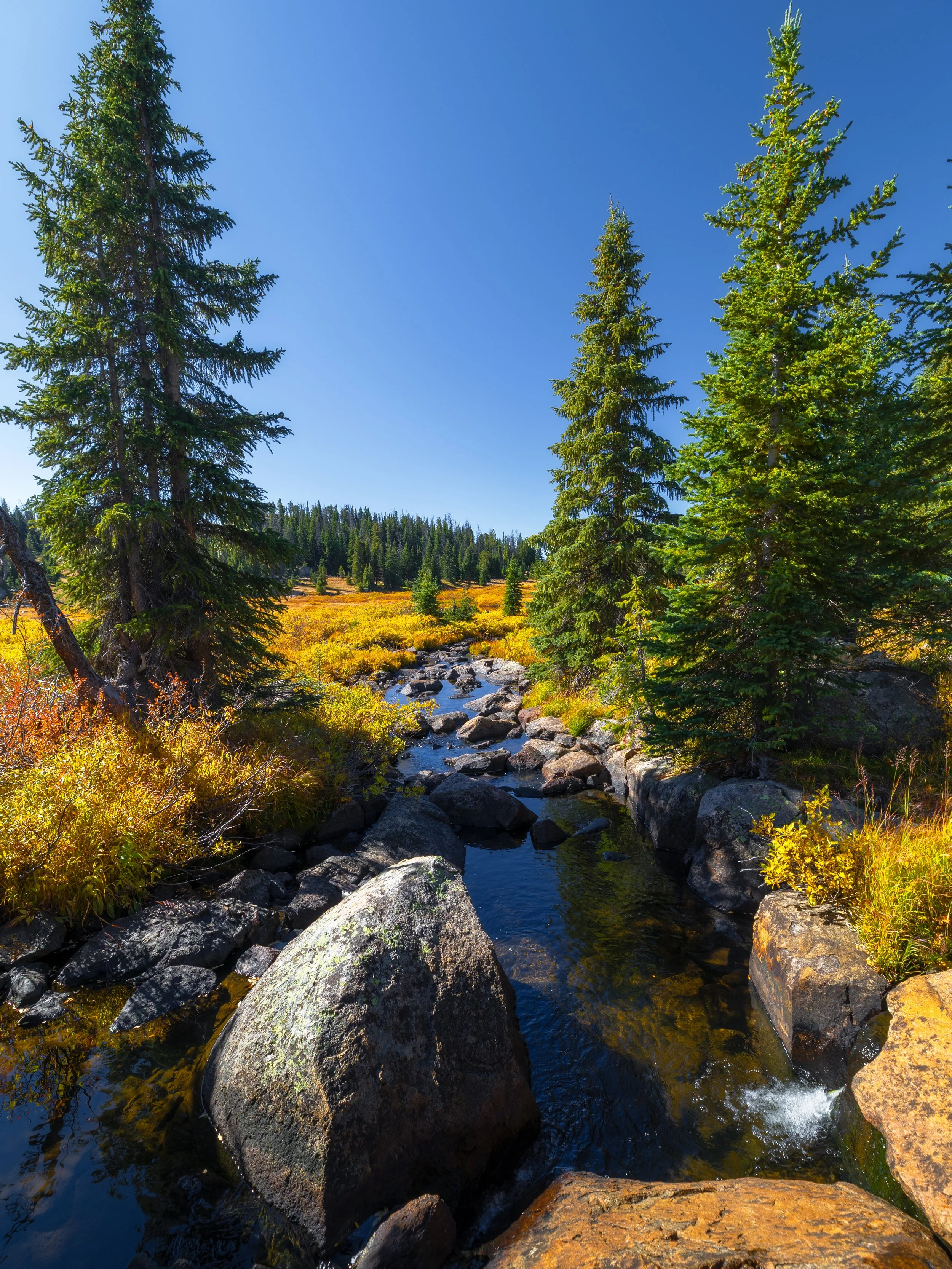 GA8A7081-Edit.jpg
