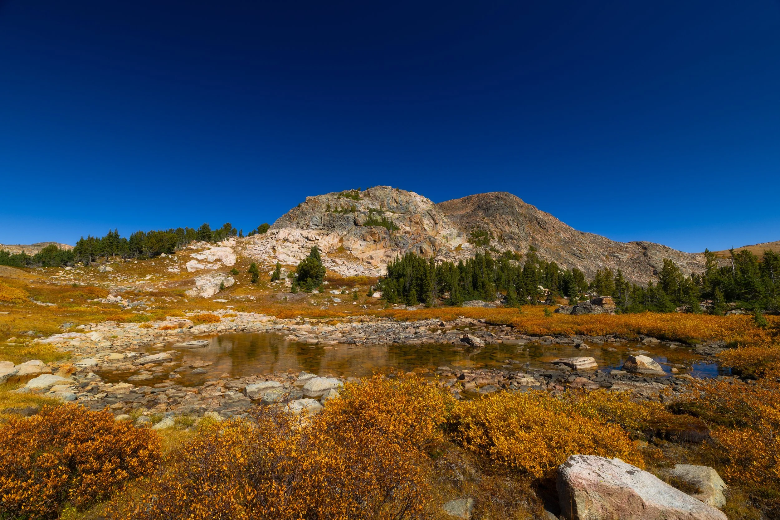 GA8A7109-Edit.jpg