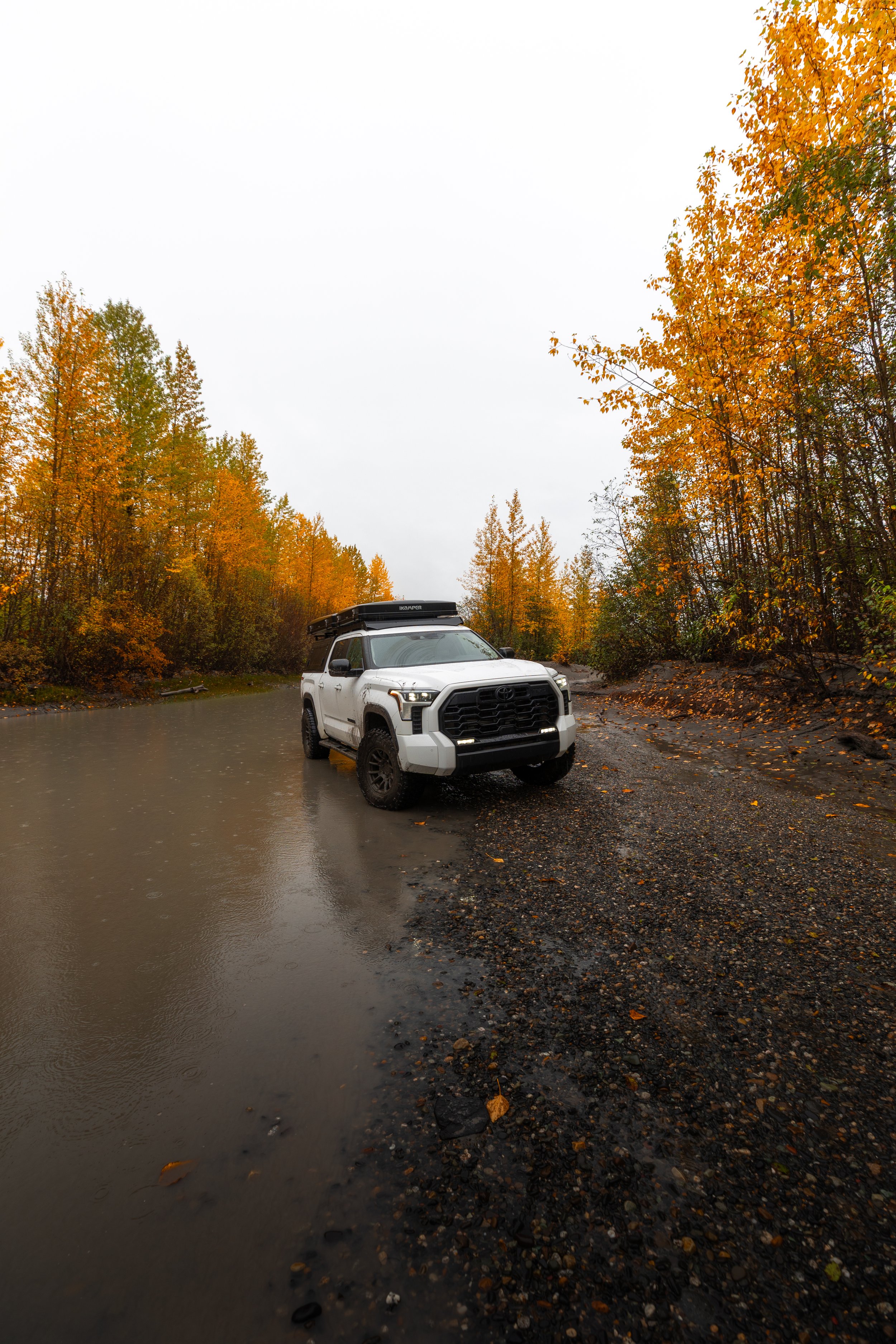 GA8A5825-Edit.jpg