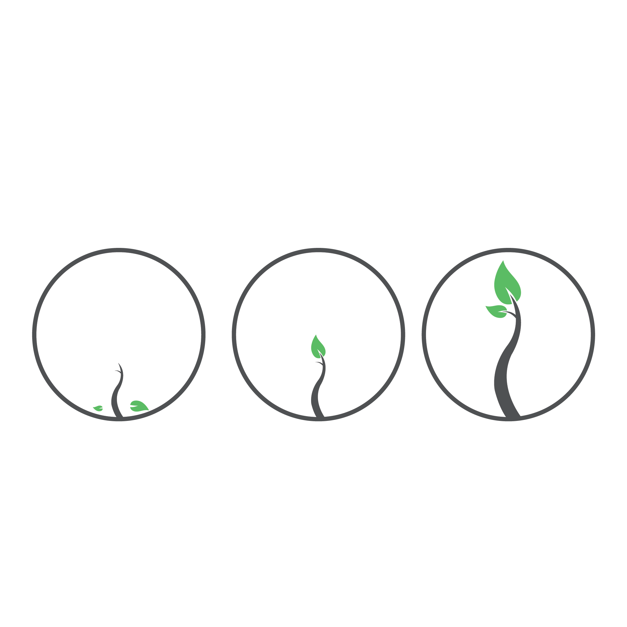 Images-02.png