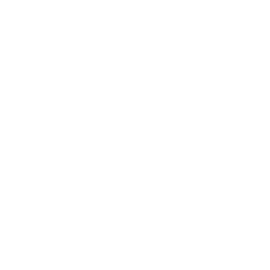 Lair Media