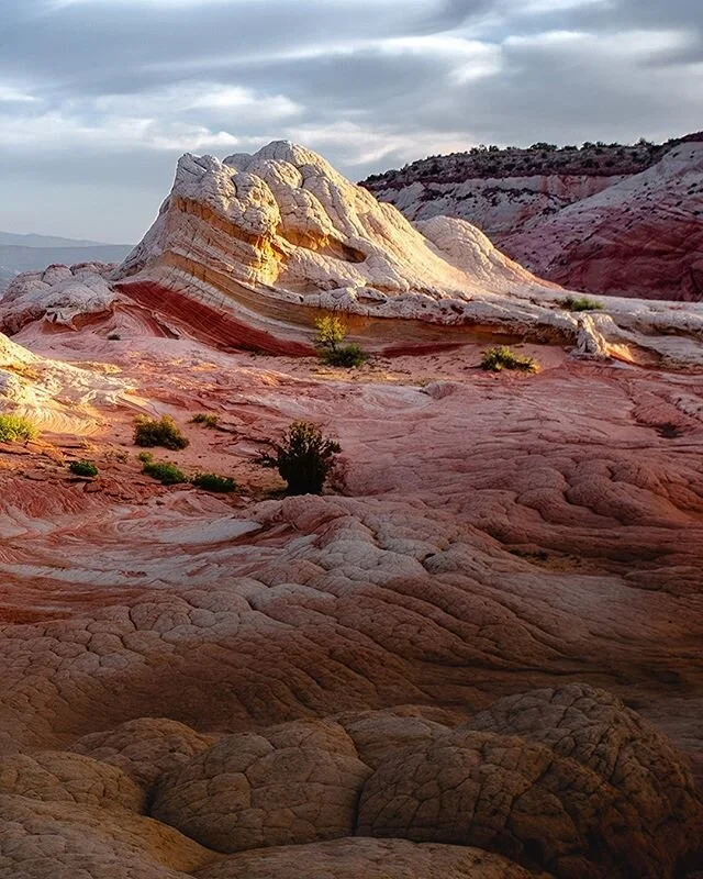Been thinking of heading back to White Pocket soon for a proper photo shoot. Who wants to go with me?