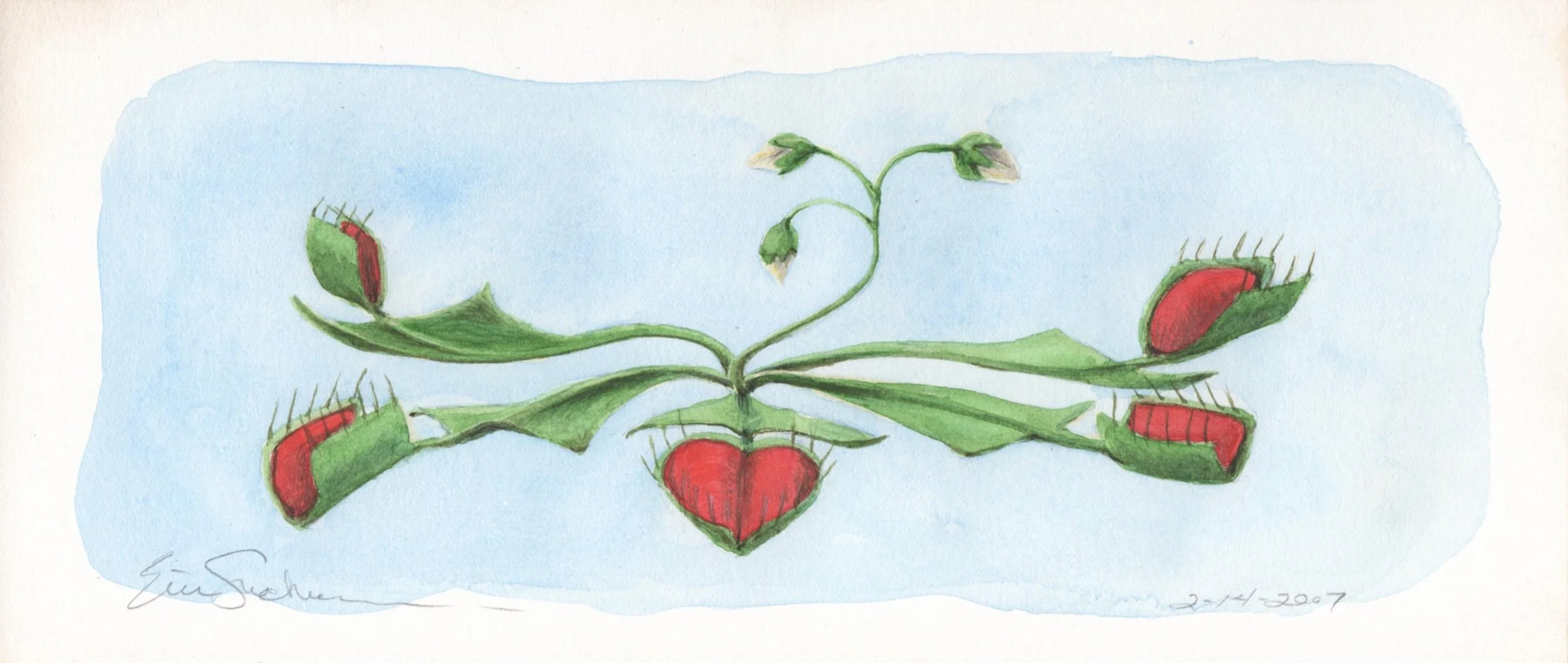 Venus's_flytrap_valentine