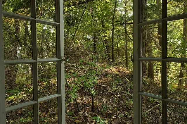 window.jpg