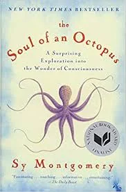 octopus.jpg