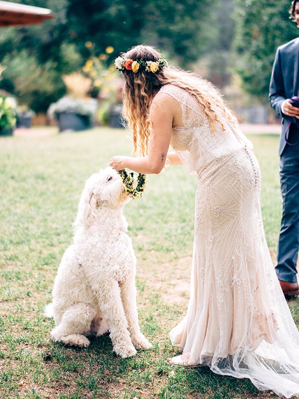 dog-flower-crown.jpg