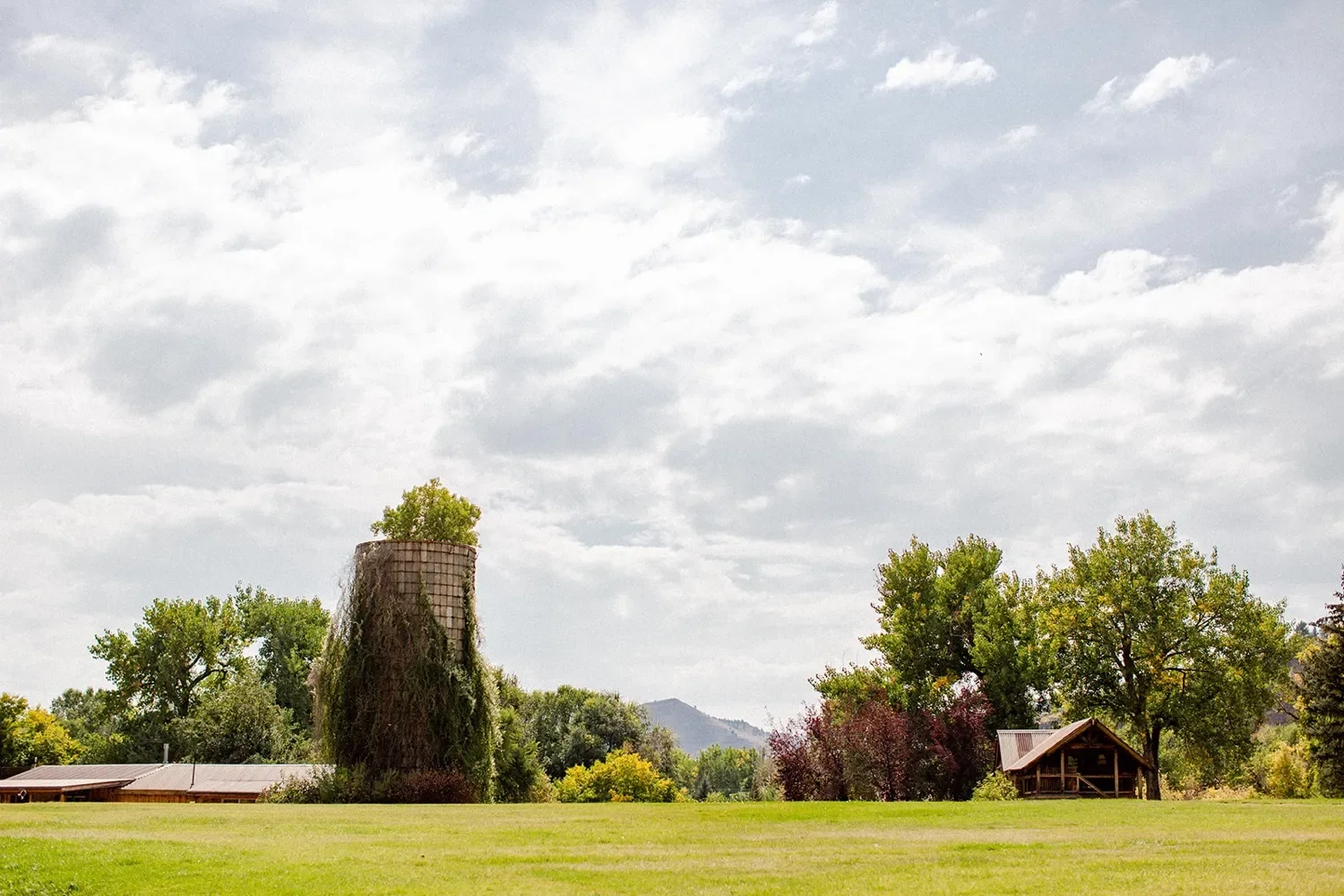008_alchemycreative.net-planetblugrasswedding-kaceynik-52.webp