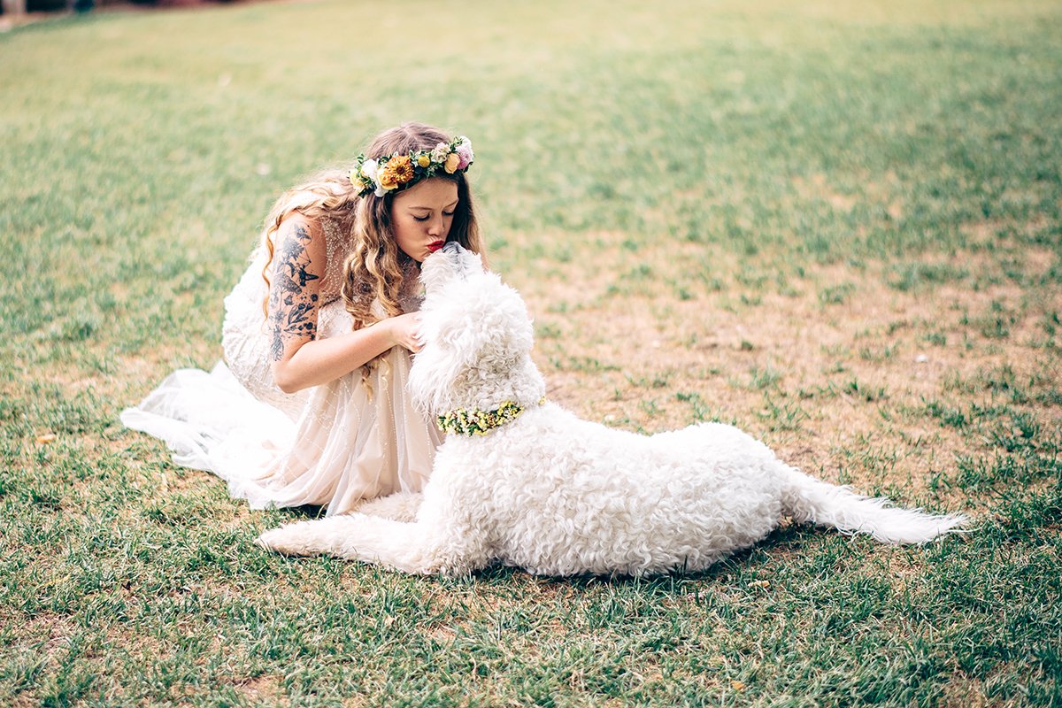 bride-and-her-dog.jpg