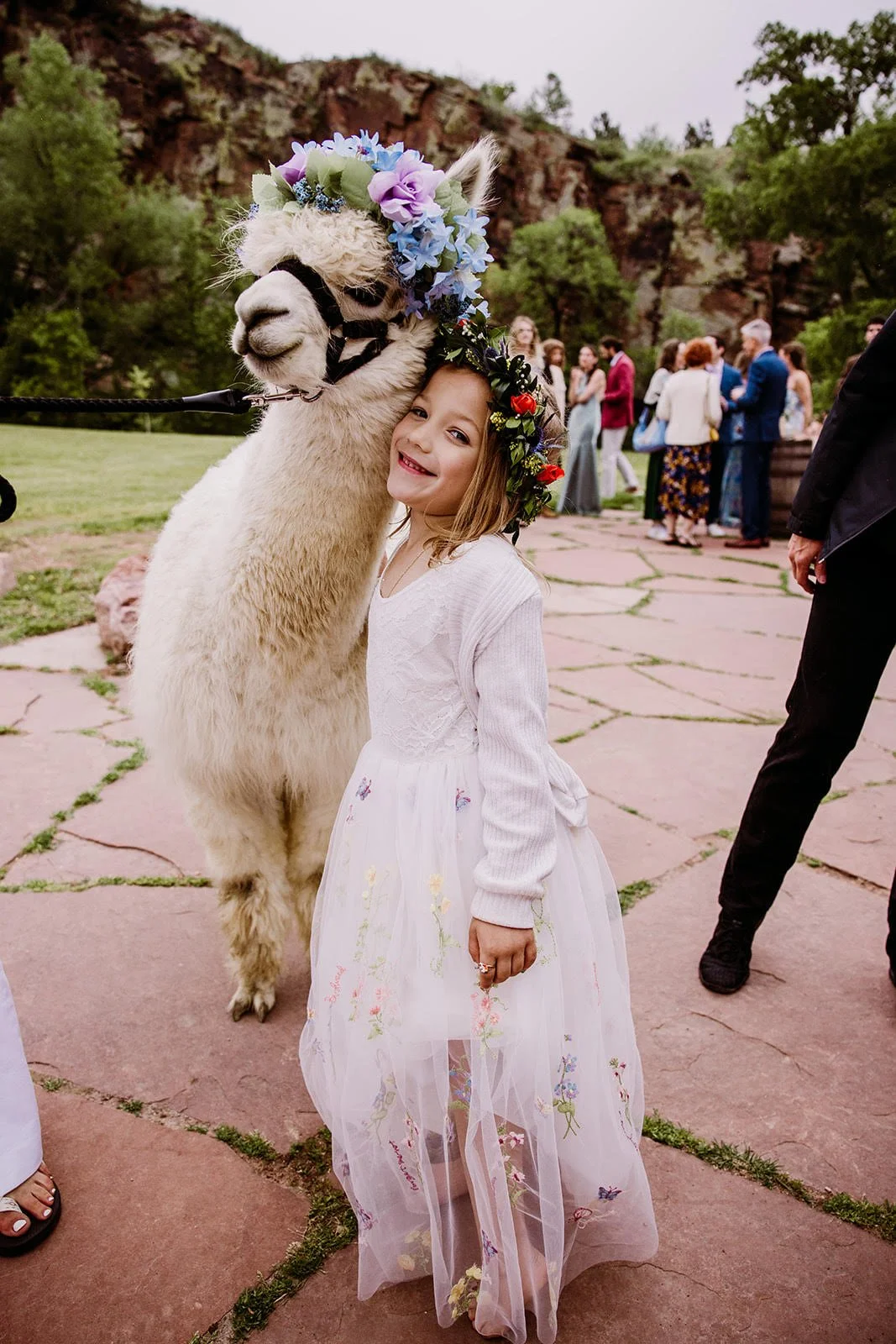 A young girl in a white dress and floral crown posing with a llama decorated with a colorful flower crown during an outdoor wedding at Planet Bluegrass.