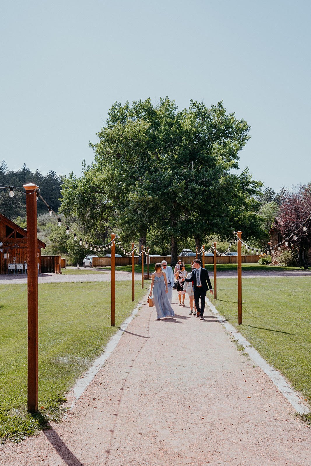 A group of five wedding guests walking along a gravel path towards the Wildflower Pavilion at Planet Bluegrass, with string lights hanging between wooden posts and trees, under clear blue sky.