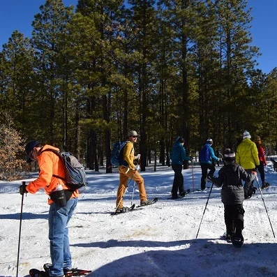 Snowshoeing success