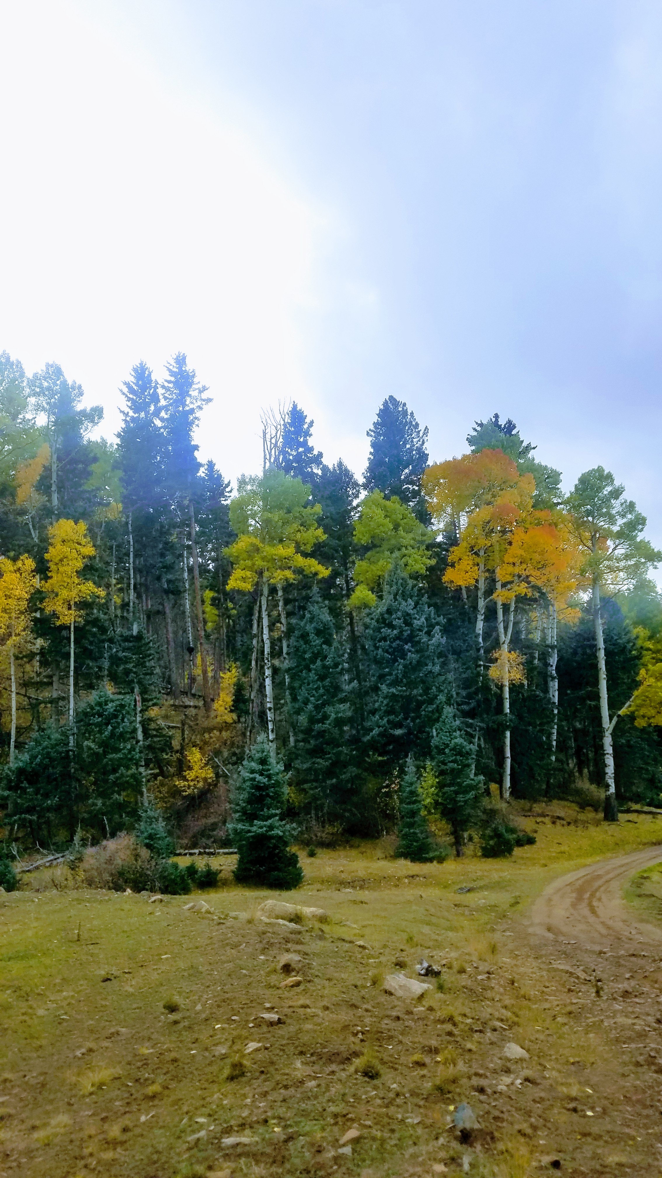 20181014_164039.jpg