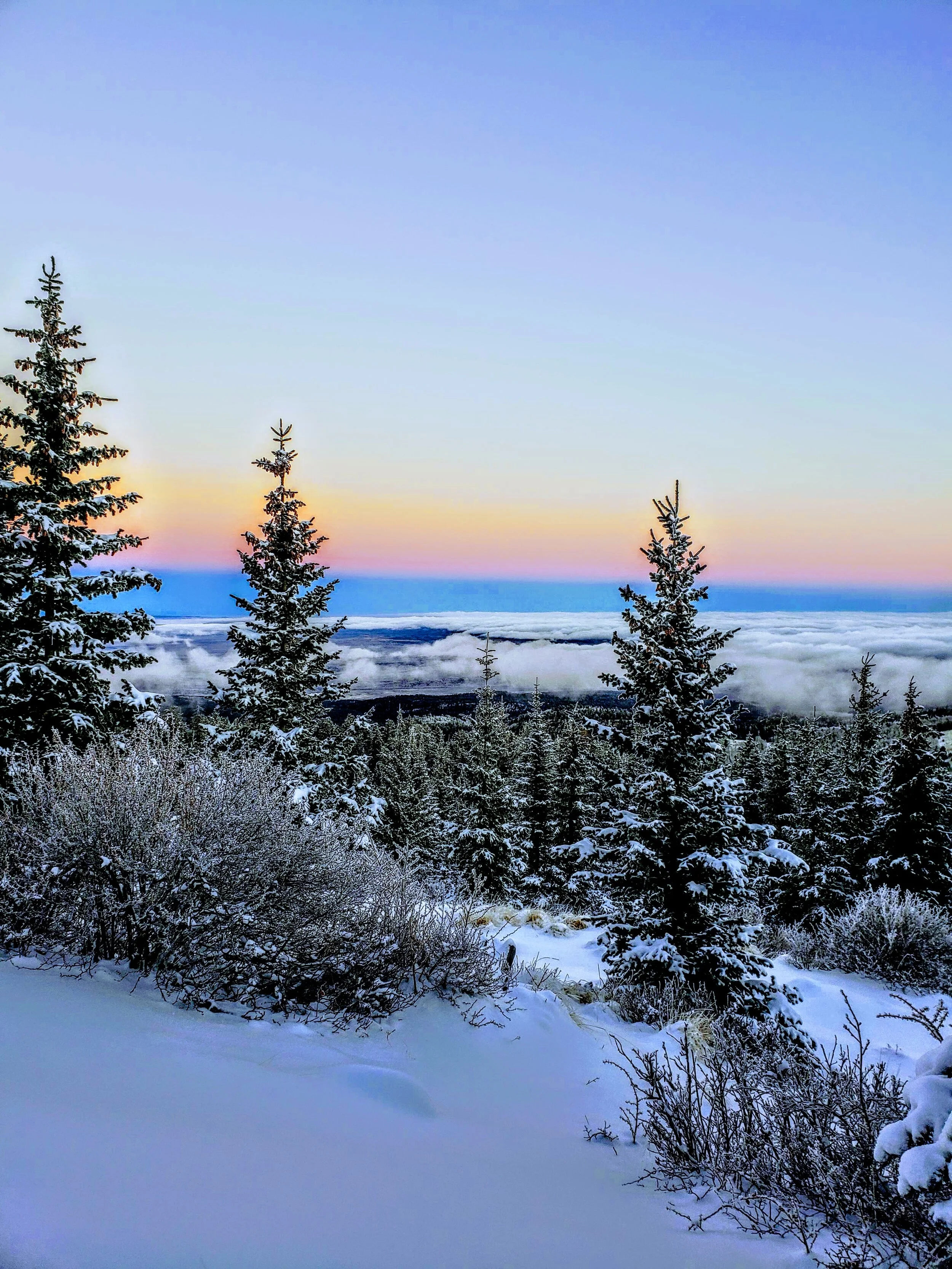Join Cibola Trail Alliance and its volunteers as we explore Mt. Taylor on Snowshoes!
