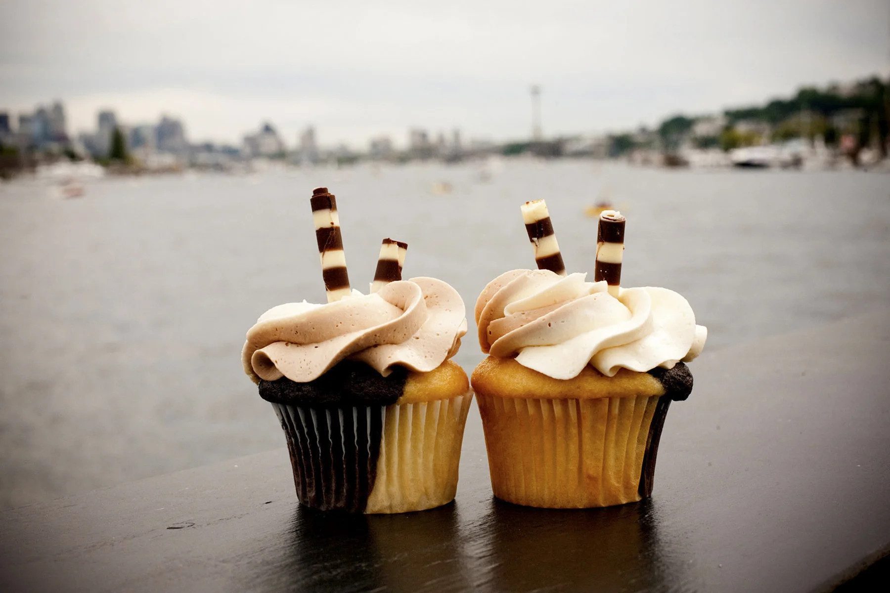 Cupcakes The Skansonia Tasha Owen Photography Seattle Tacoma Wa.jpg