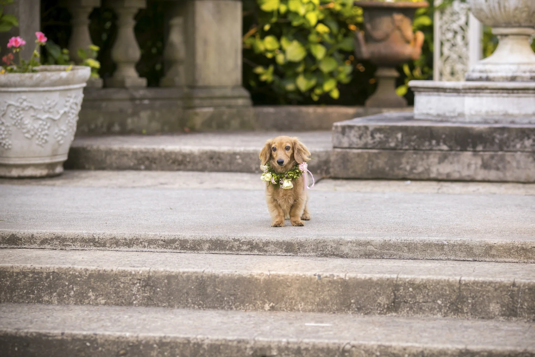 Thornewood Castle-romantic-photography-by-Tasha-Owen-30.jpg