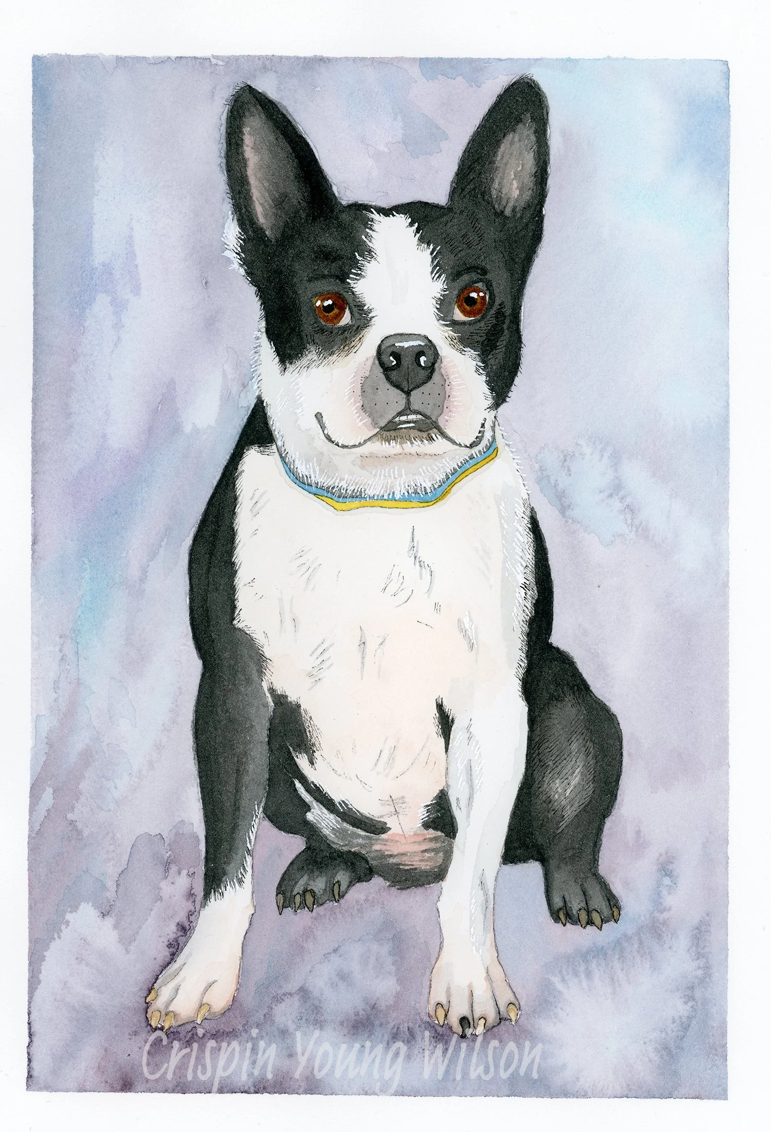 Baxter copy 3.jpg