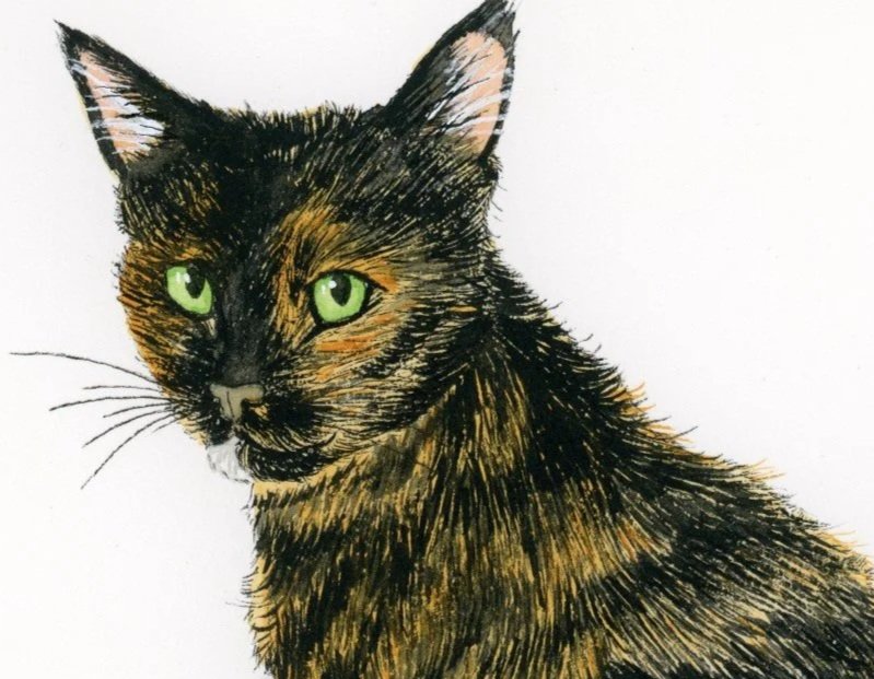 bindi close up.jpg