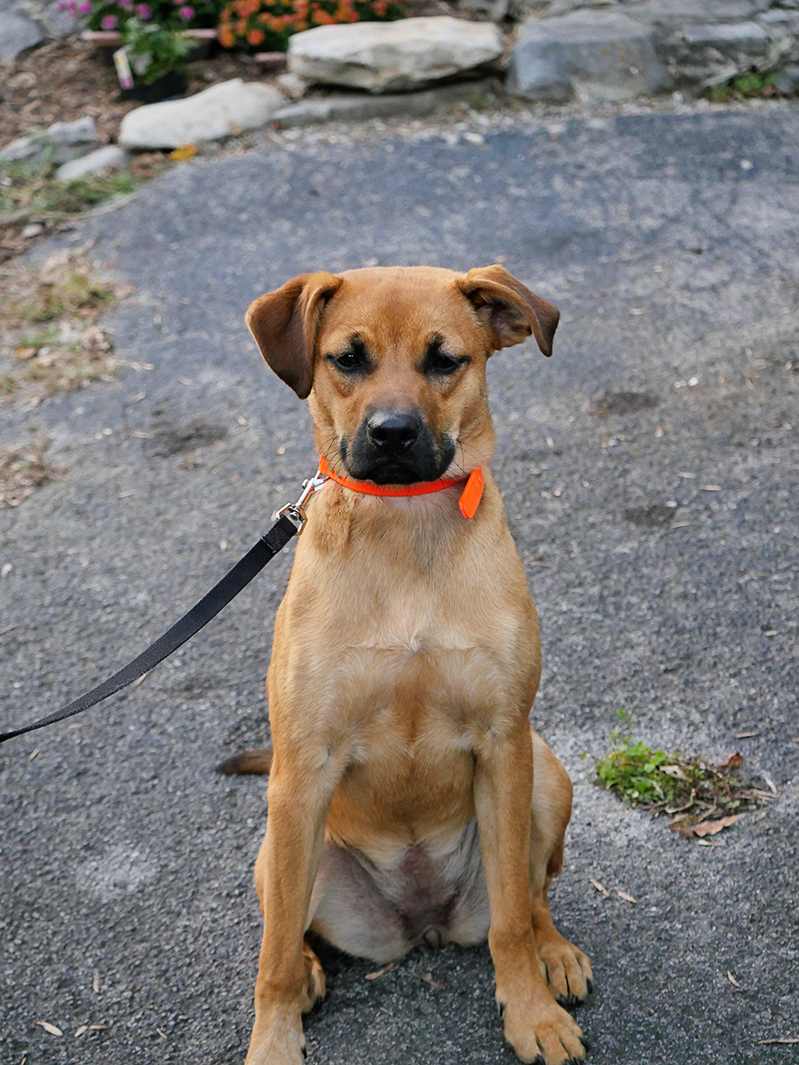This is Rosie. Be sure and say hi when you arrive!