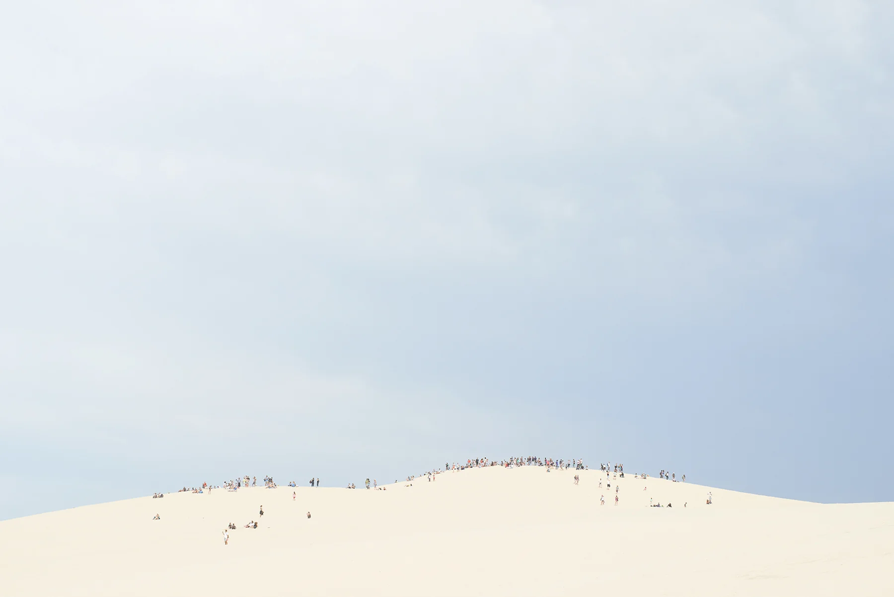 DSC_2213_cor copy.jpg