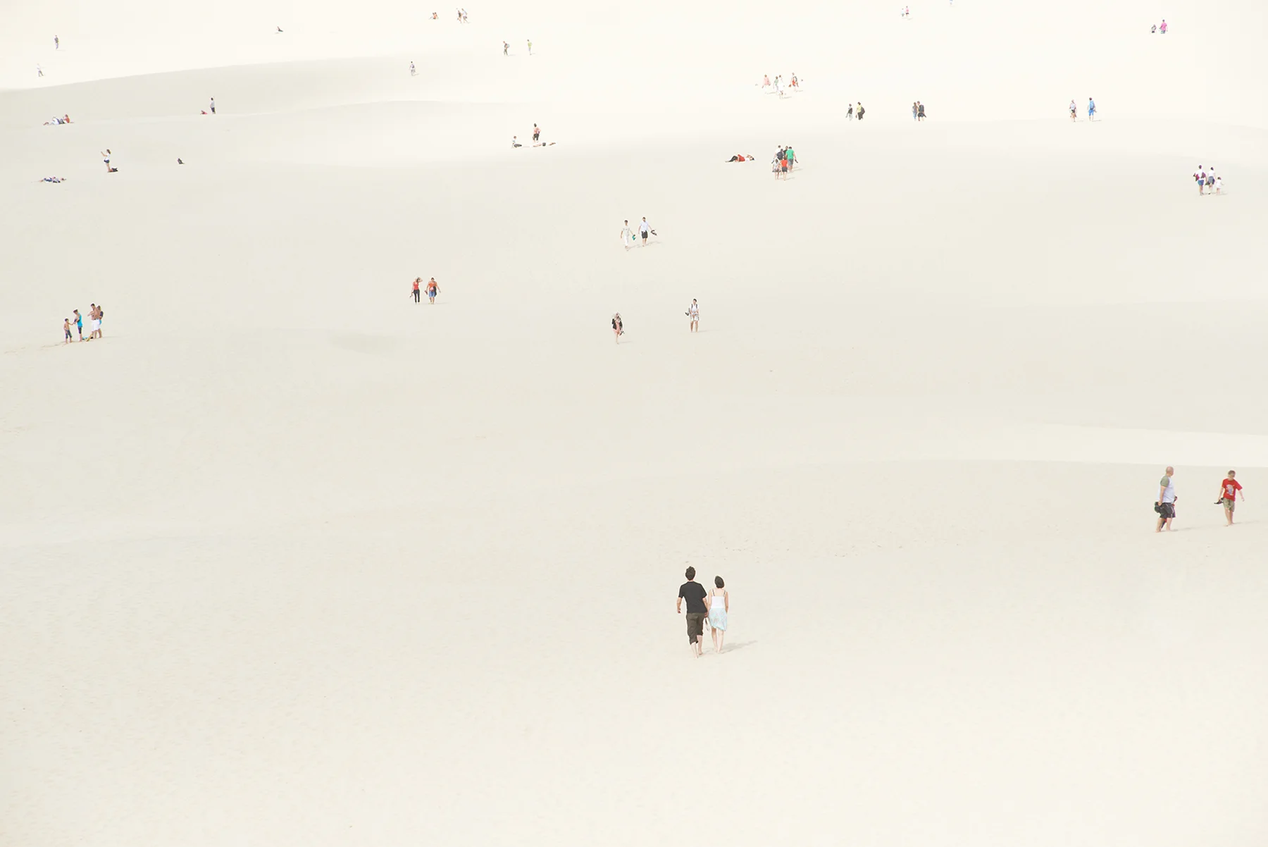 DSC_2310_cor-Recovered copy.jpg