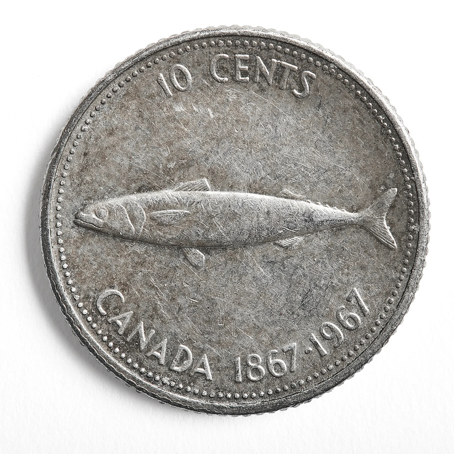 fish_36x36.jpg