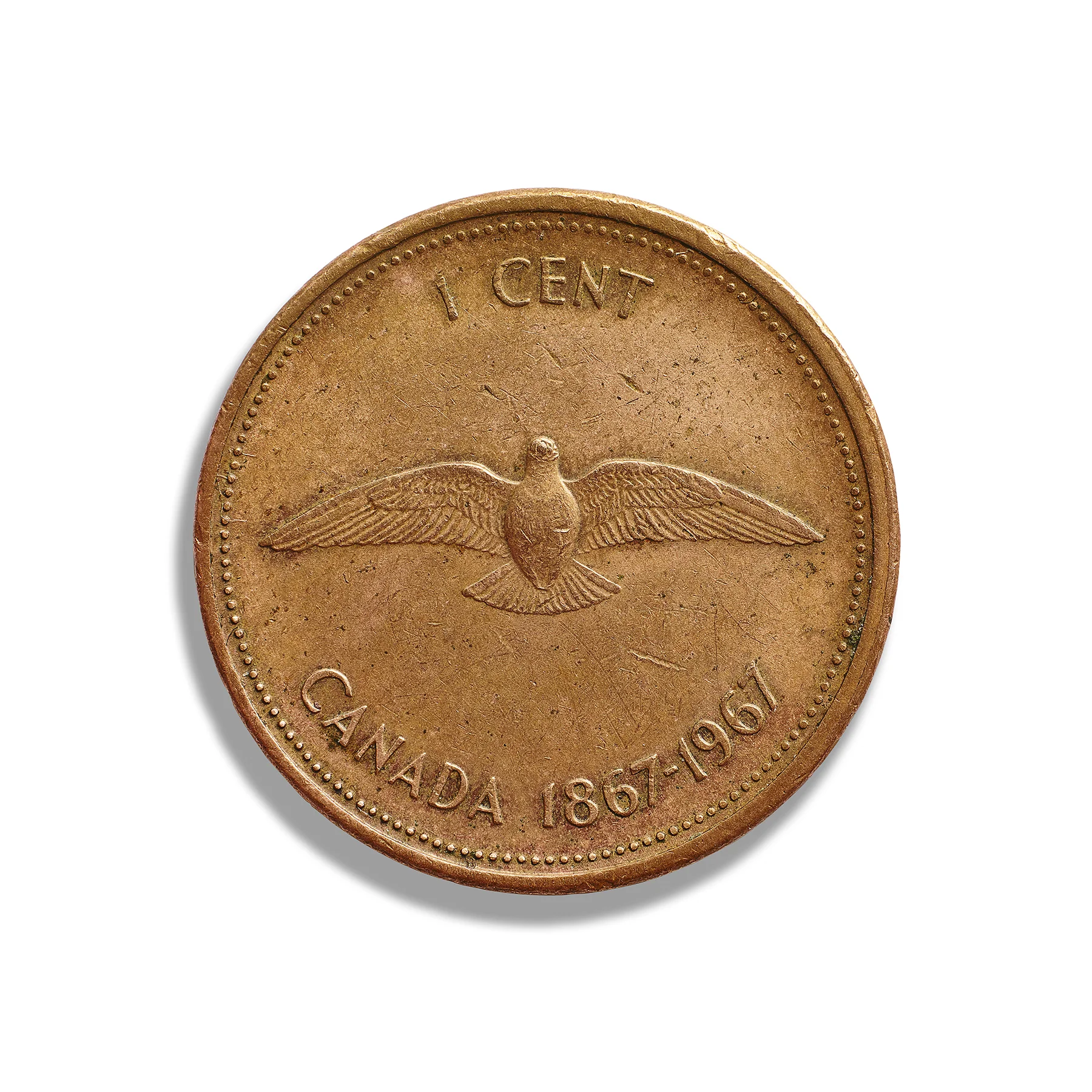 penny_38x38 copy.jpg