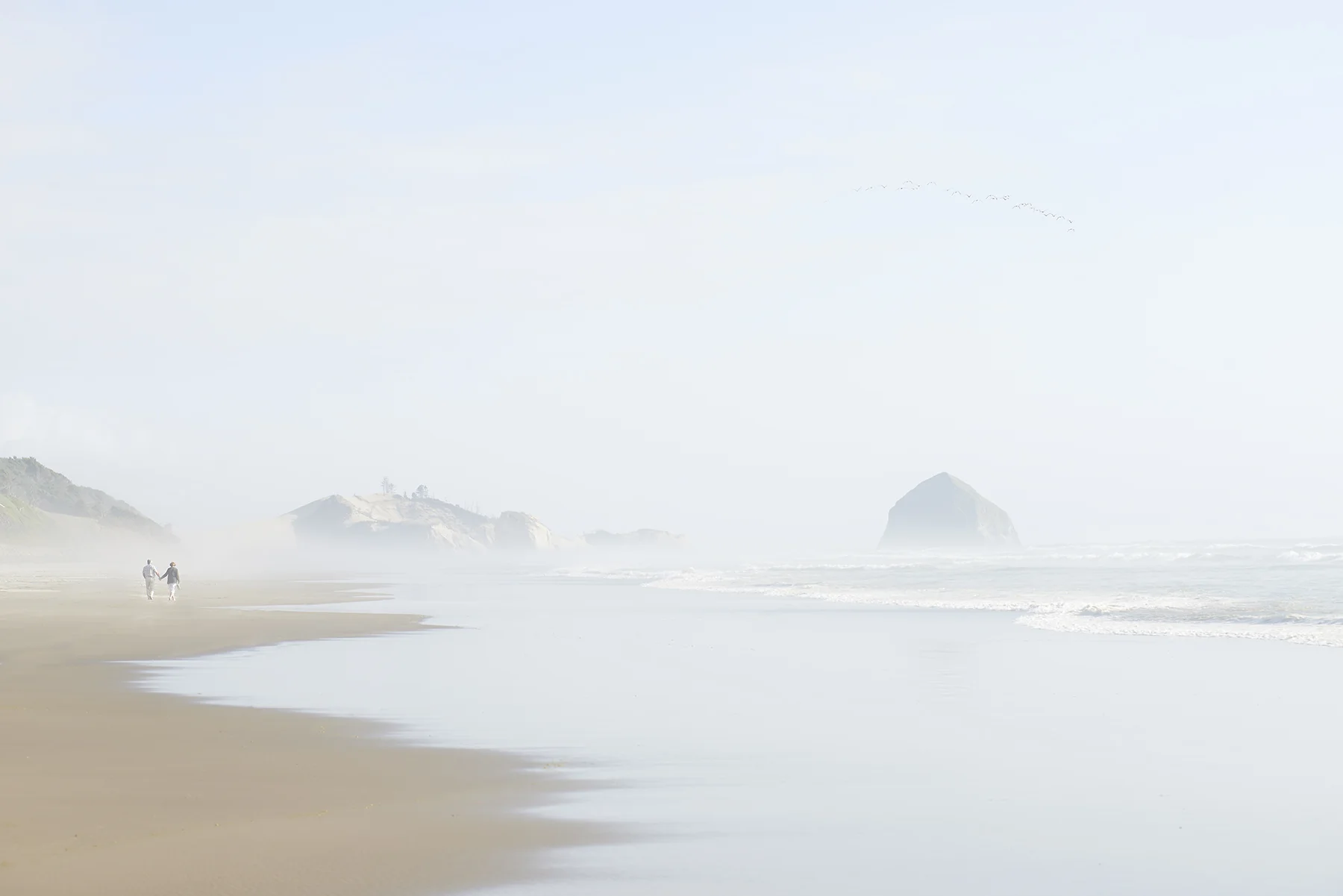 _DSC3550_cor.jpg
