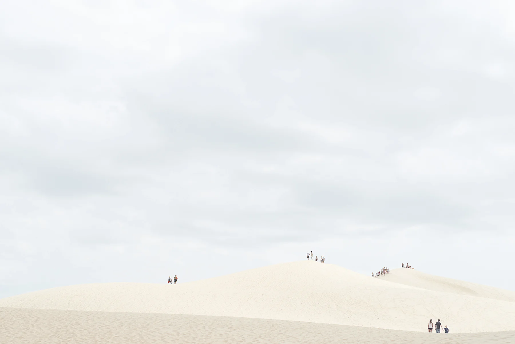 DSC_2334_cor-Recovered copy.jpg